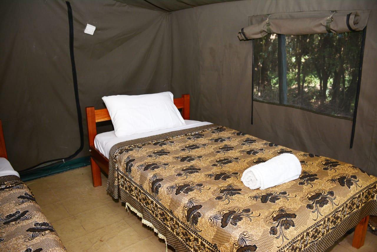5-Day Private Kenya Safari: Maasai Mara, Nakuru & Naivasha