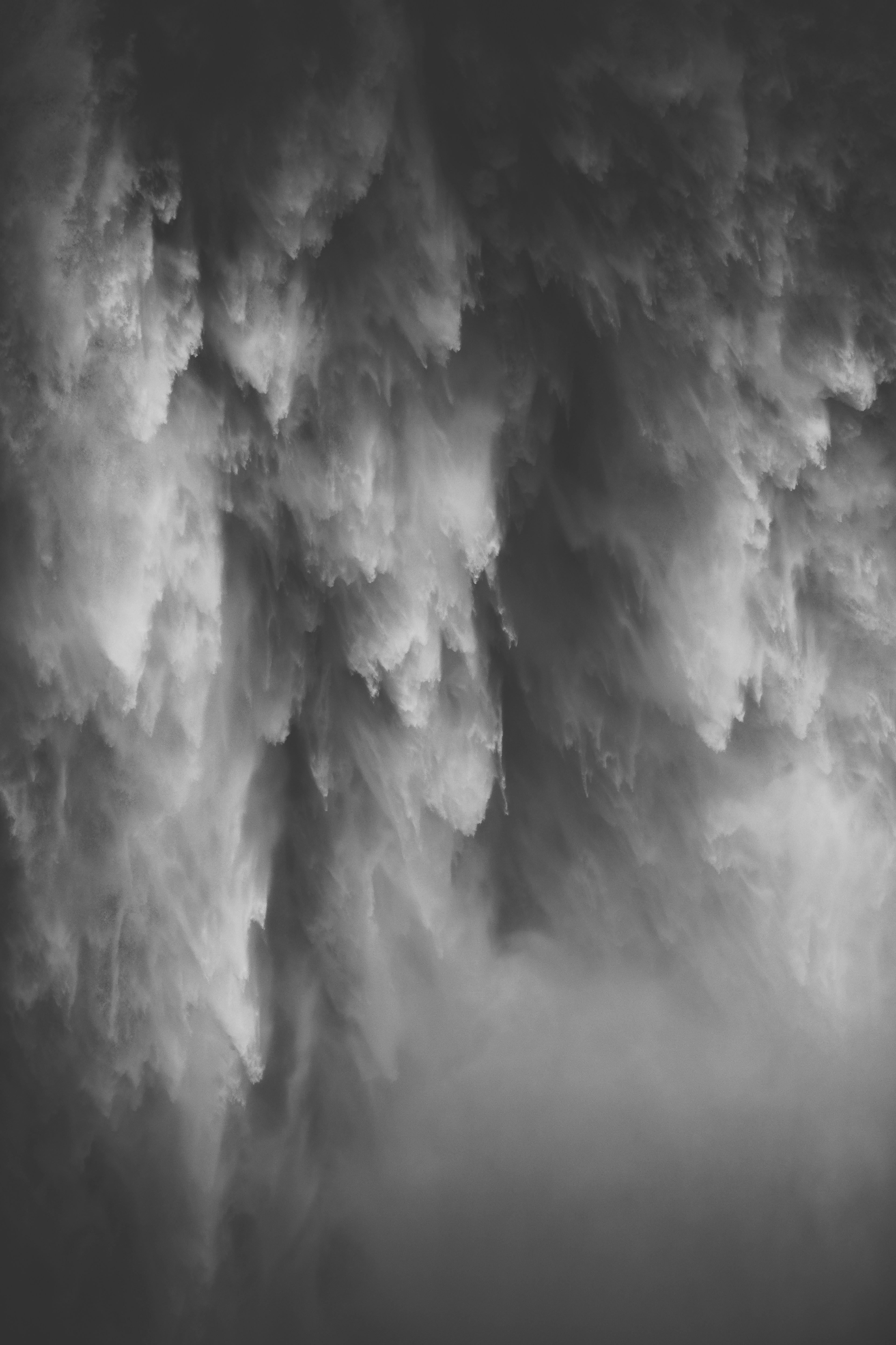 Cascades Waterfalls & Ancient Old-Growth Forest Guided Hike