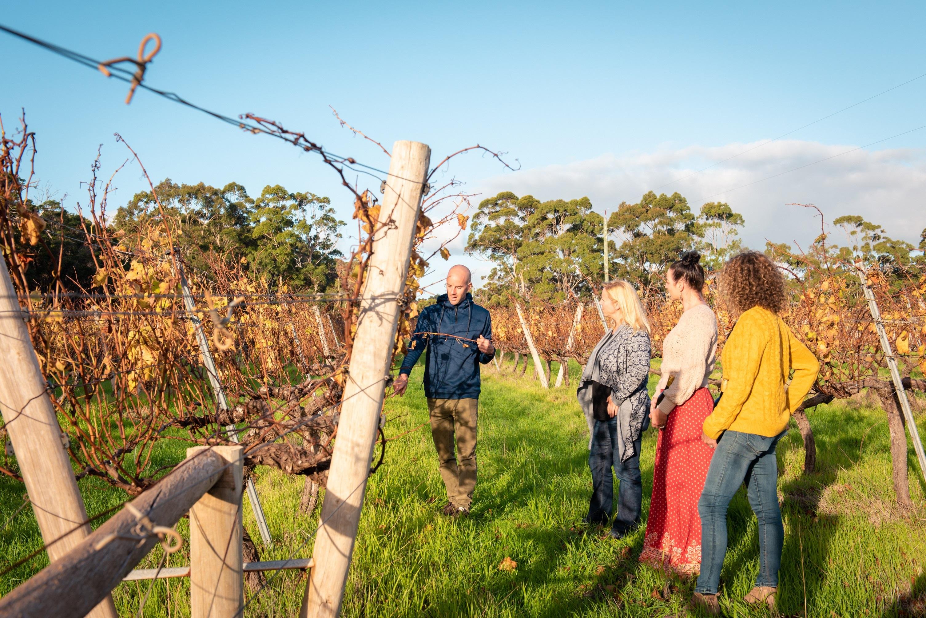 Margaret River wine tour — image 15