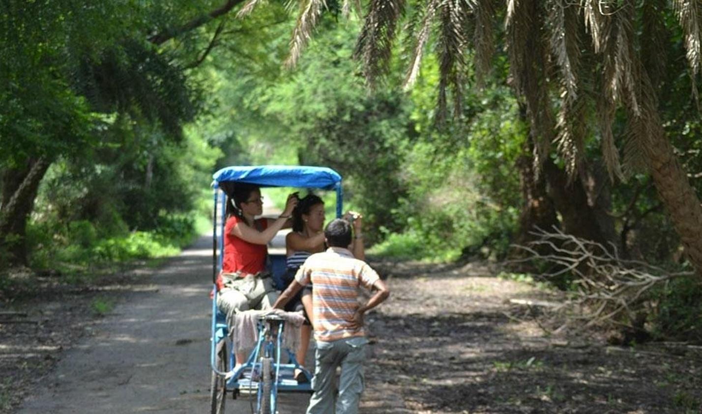 Keoladeo National Park: Custom Guided Tours & Transfers