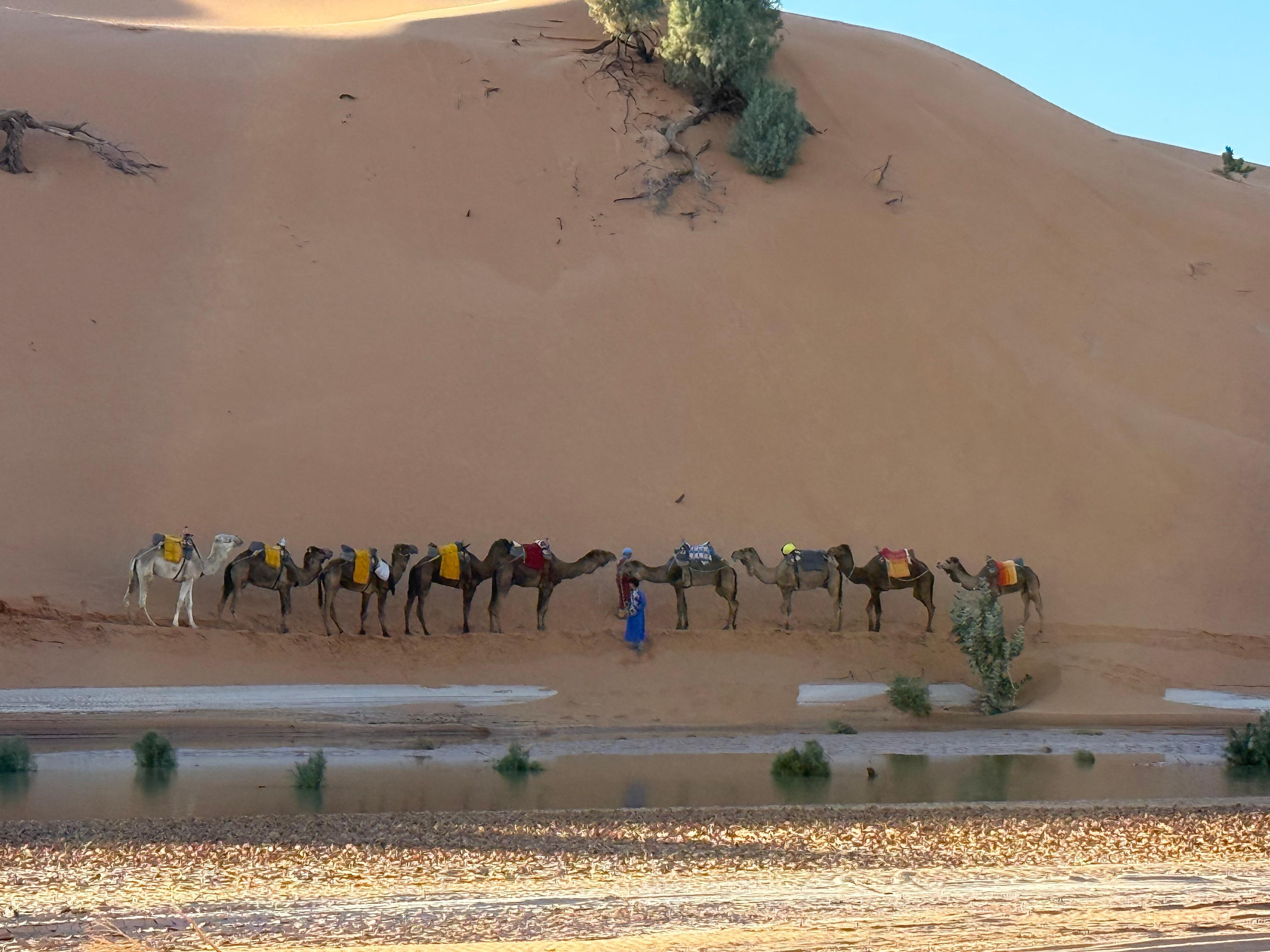 Merzouga 3-Day Sahara Adventure: Camel Trek, Quad Biking & Desert Camp