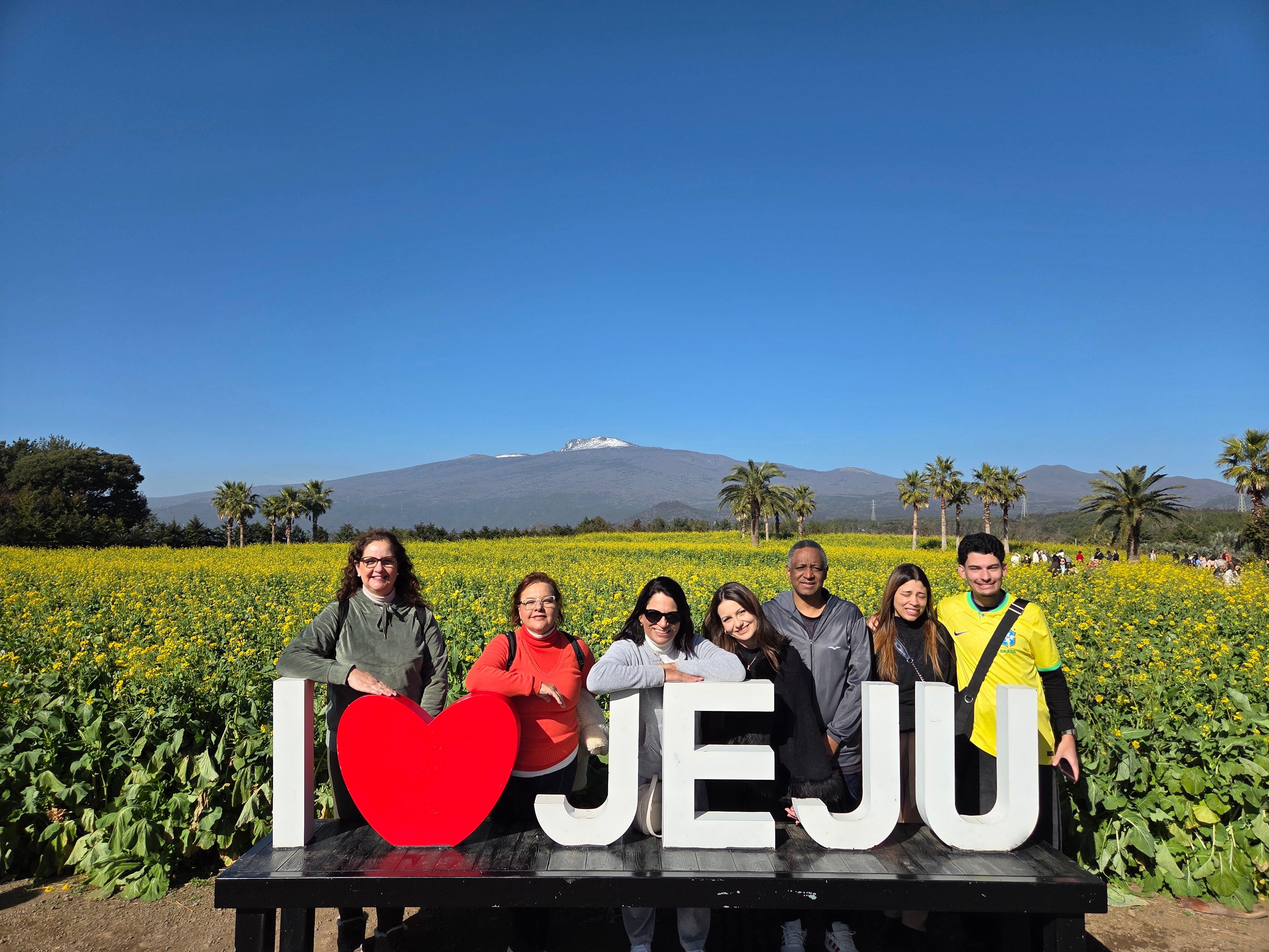 Jeju private taxi tour — image 5