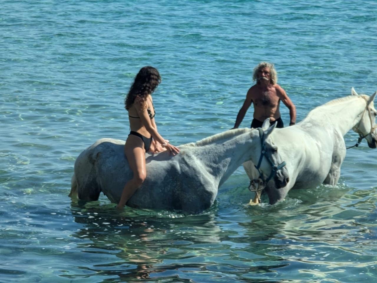 Zakynthos: Yotomu Horse Riding and Swimming Experience
