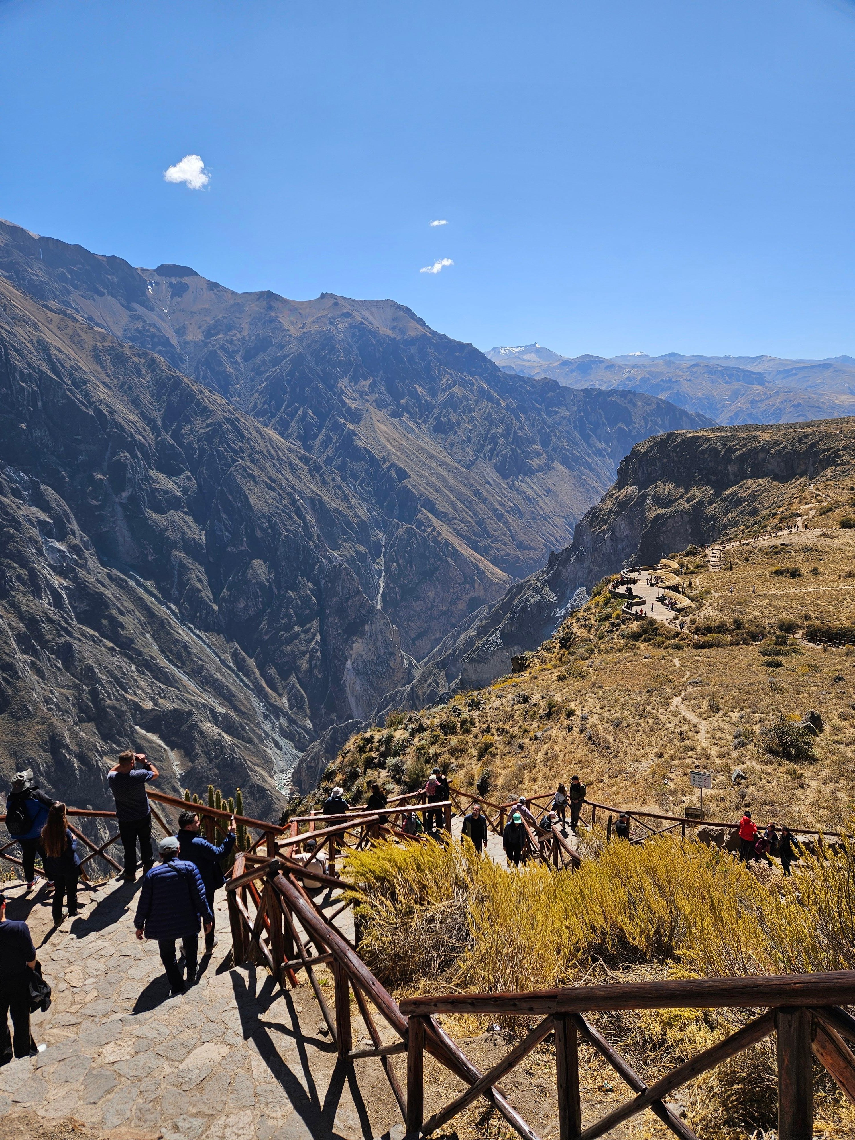 Colca Canyon Adventure: Puno to Arequipa