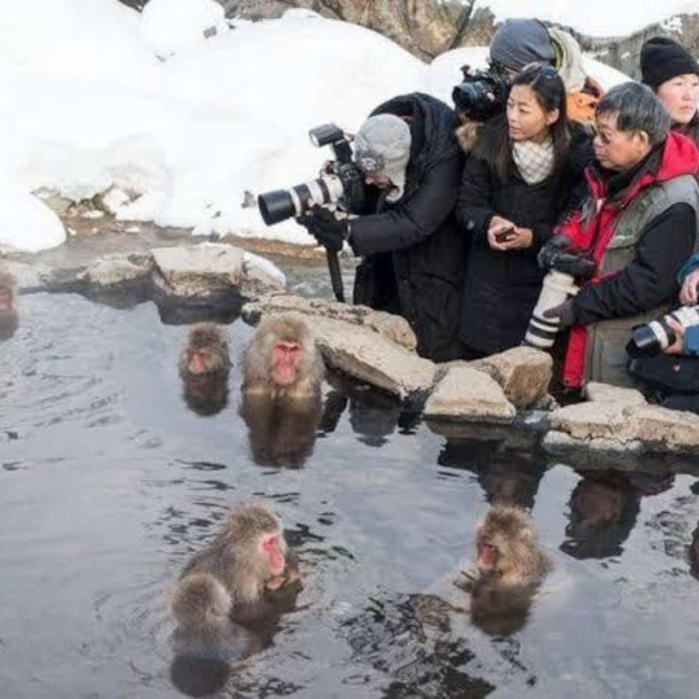Nagano Private Day Tour: Snow Monkeys, Zenkoji Temple & More