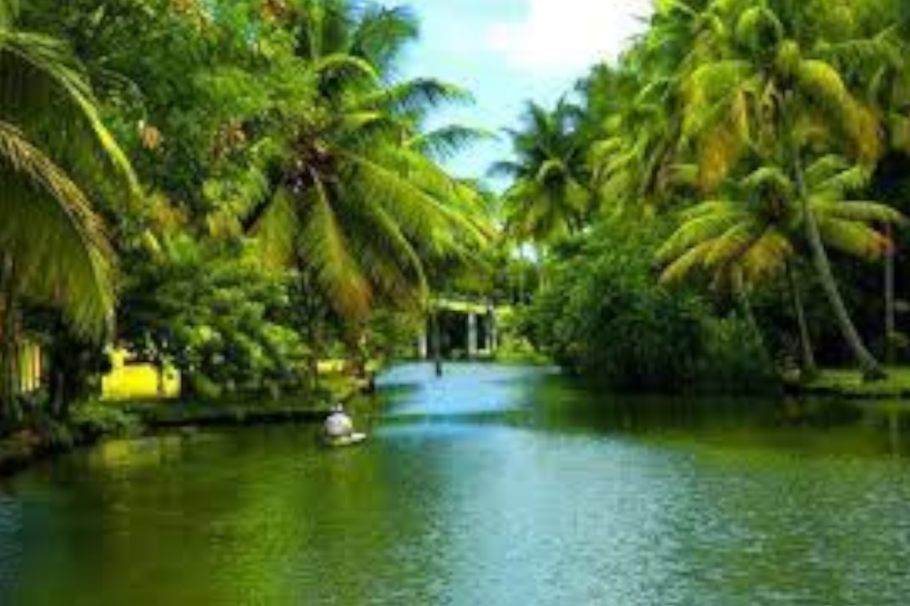 Alleppey Backwaters: Private Shikara Boat & Village Exploration