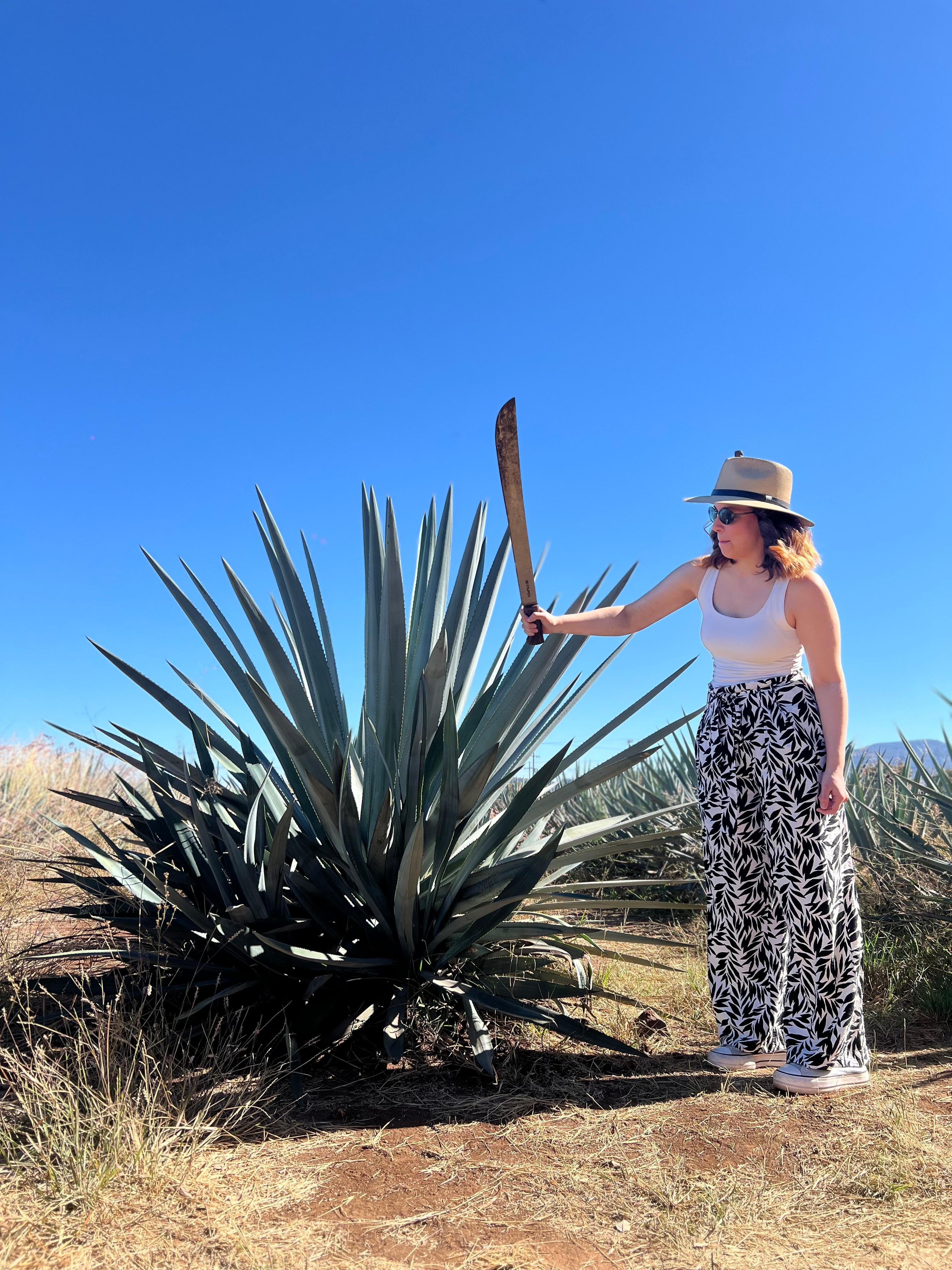 tequila tour in Guadalajara — photo 15