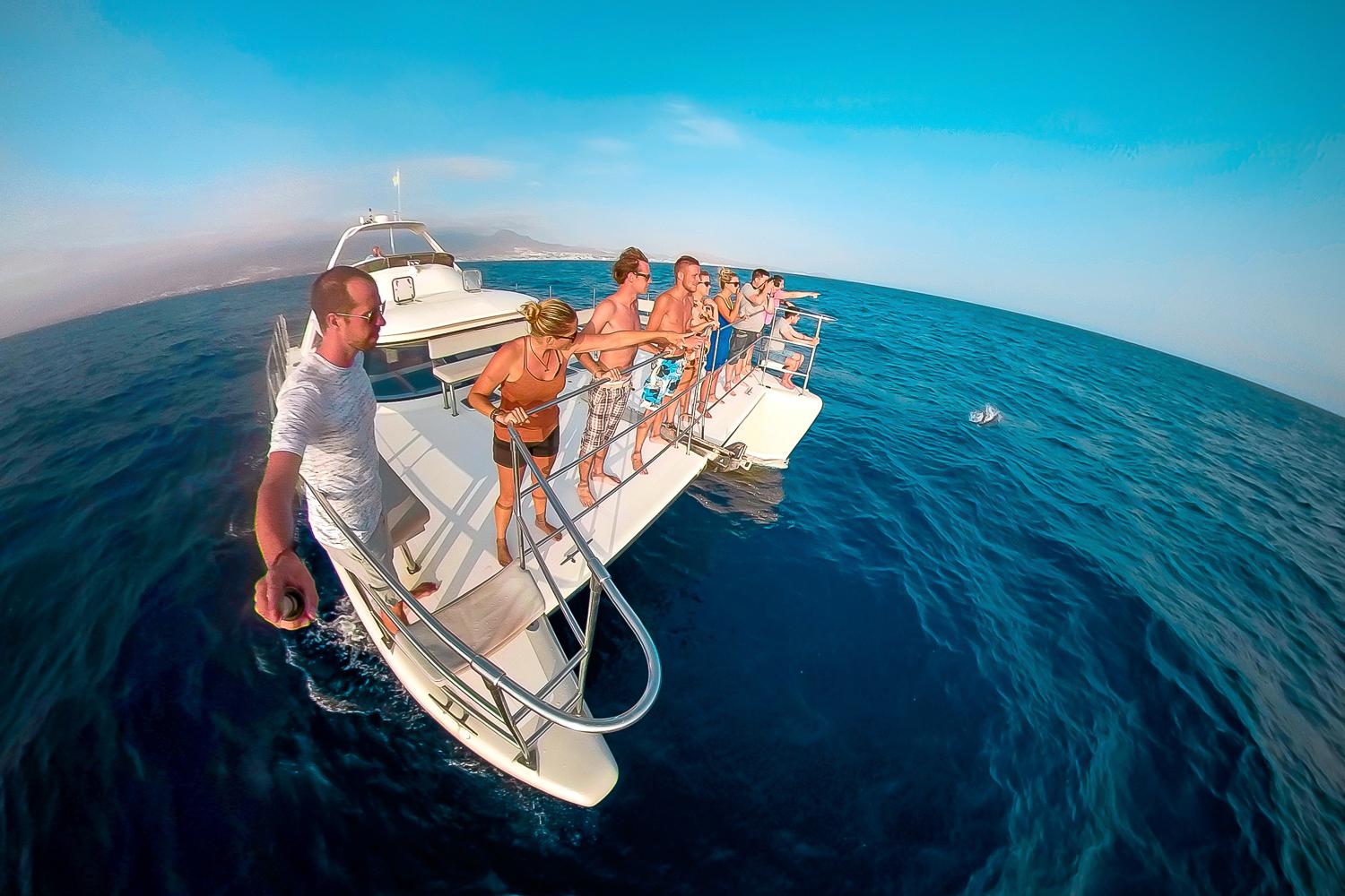 Tenerife Whale & Dolphin Catamaran Cruise with Buffet