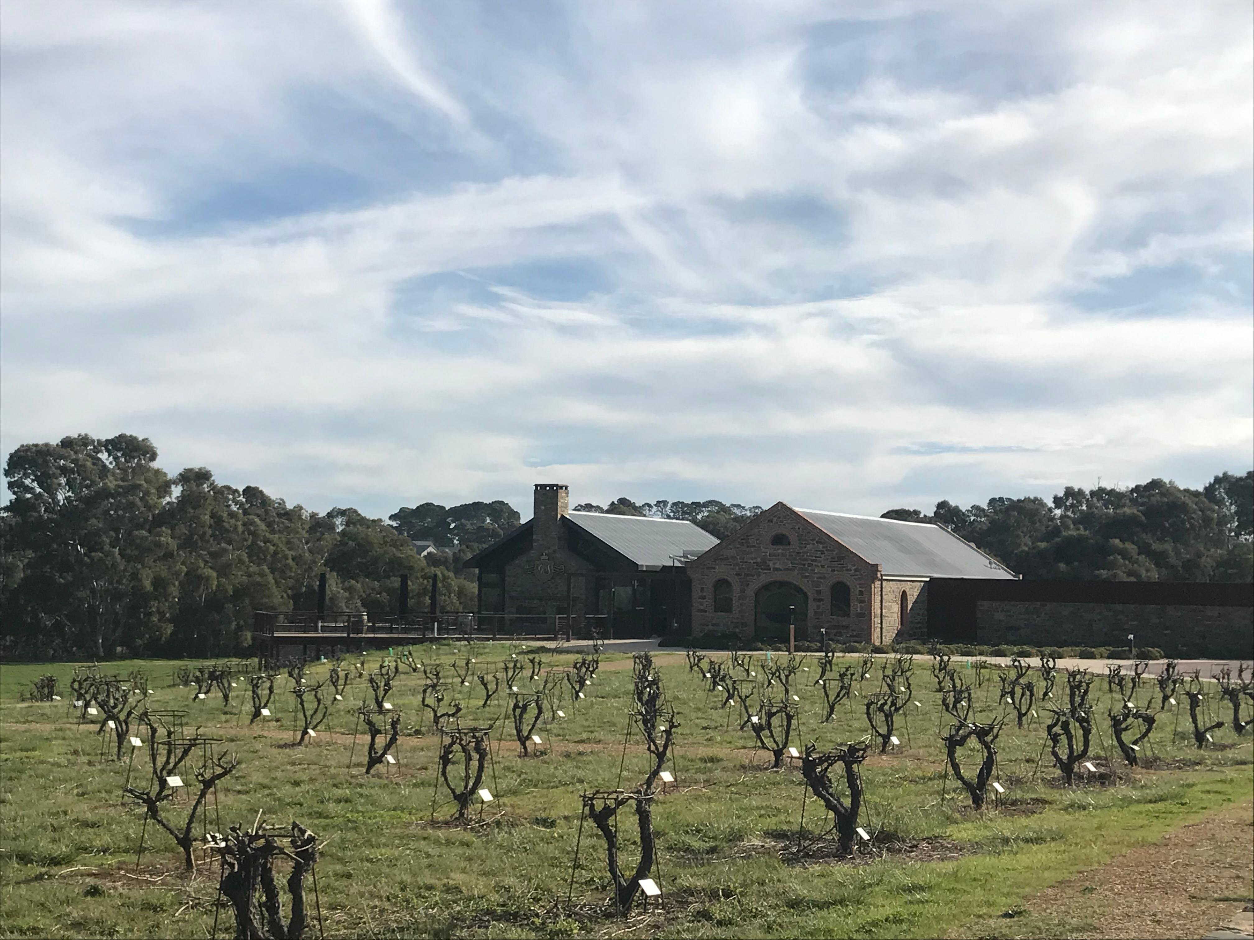 Barossa Valley Small Group Wine Experience with Lunch