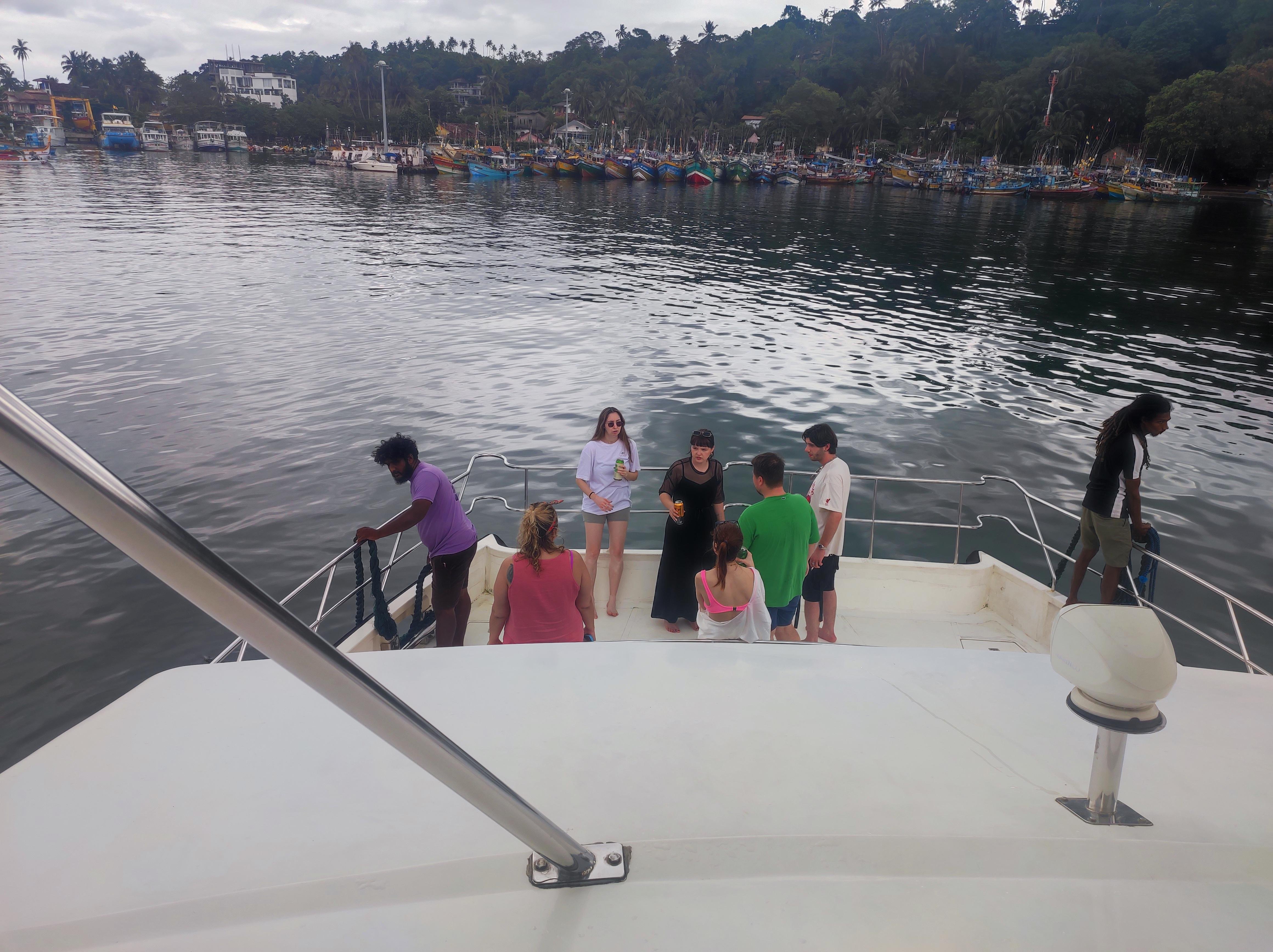 Mirissa Whale & Dolphin Spotting Cruise