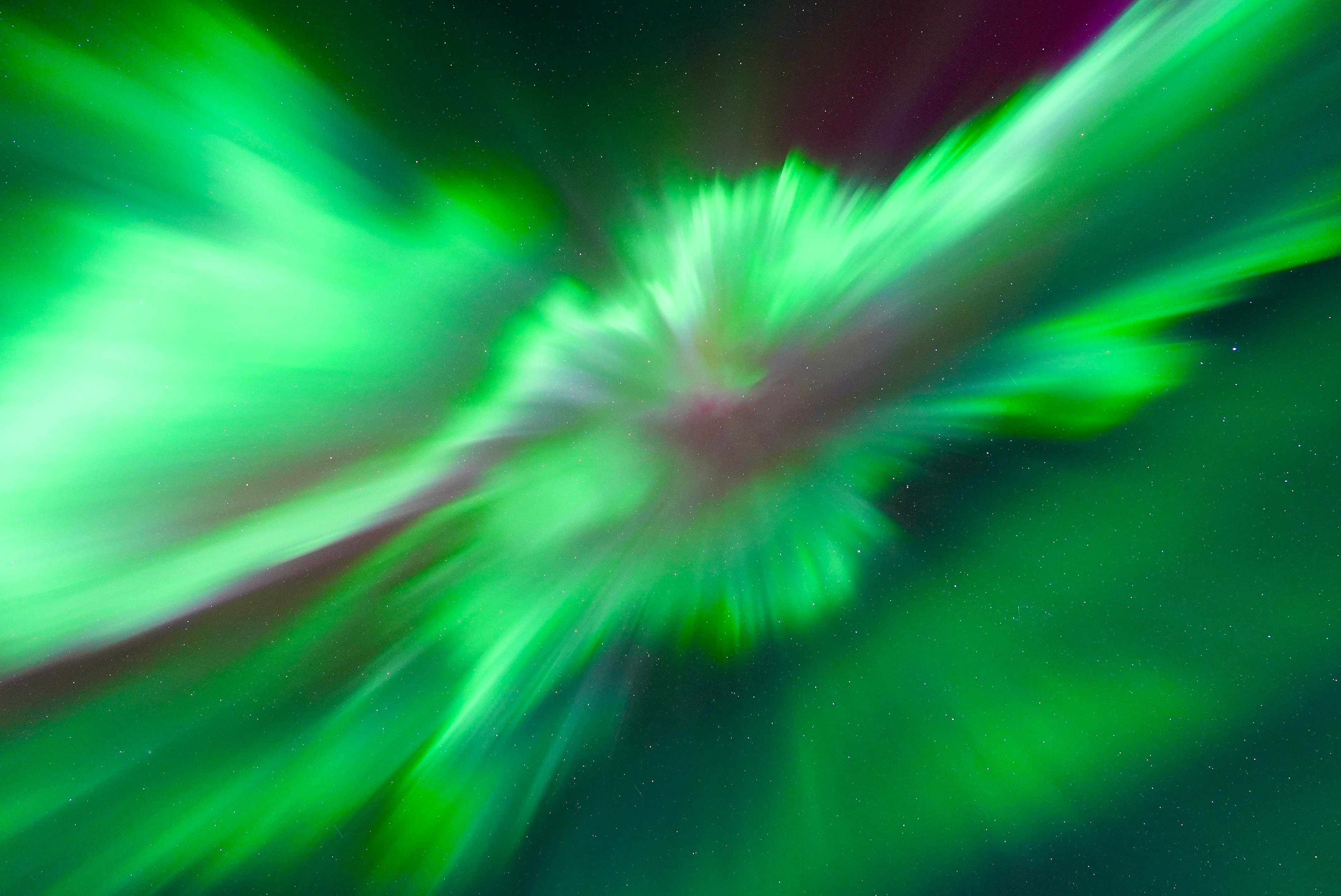Northern lights chase from Tromsø — image 30
