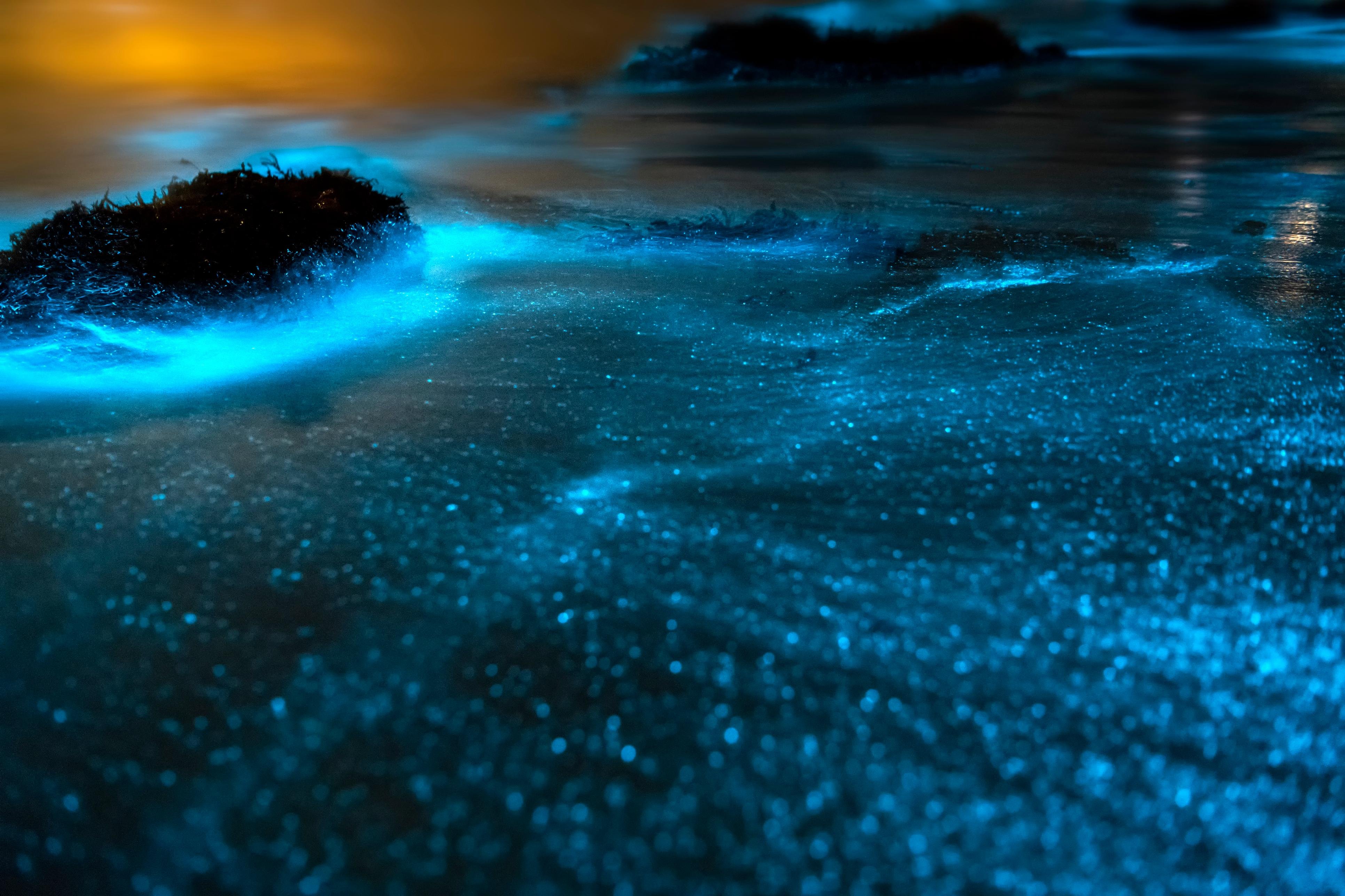 Krabi Hong Island Sunset & Bioluminescent Plankton Tour with BBQ Dinner