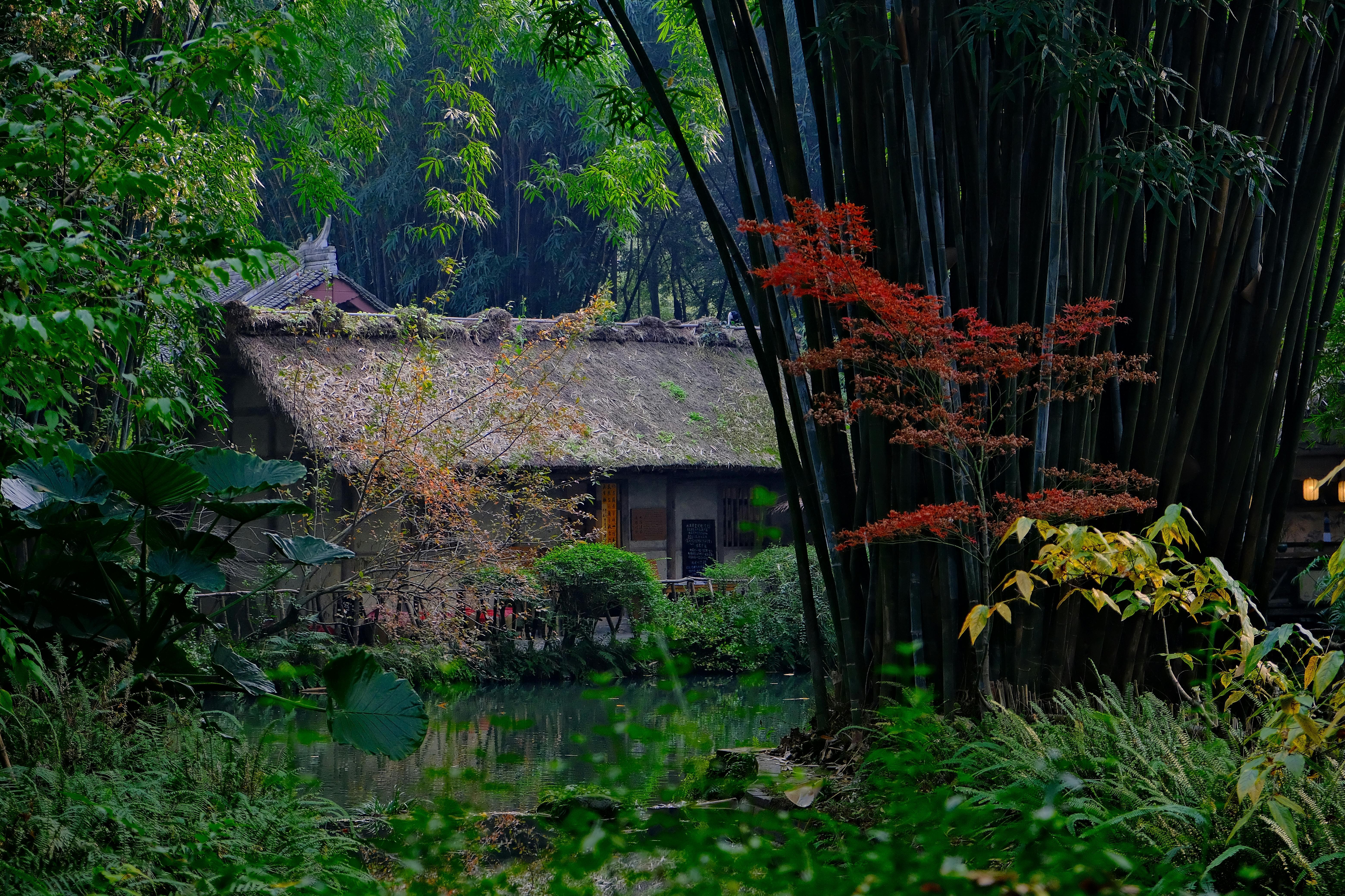 Private Tokyo Day Escape: Kamakura, Yokohama & Daikoku PA