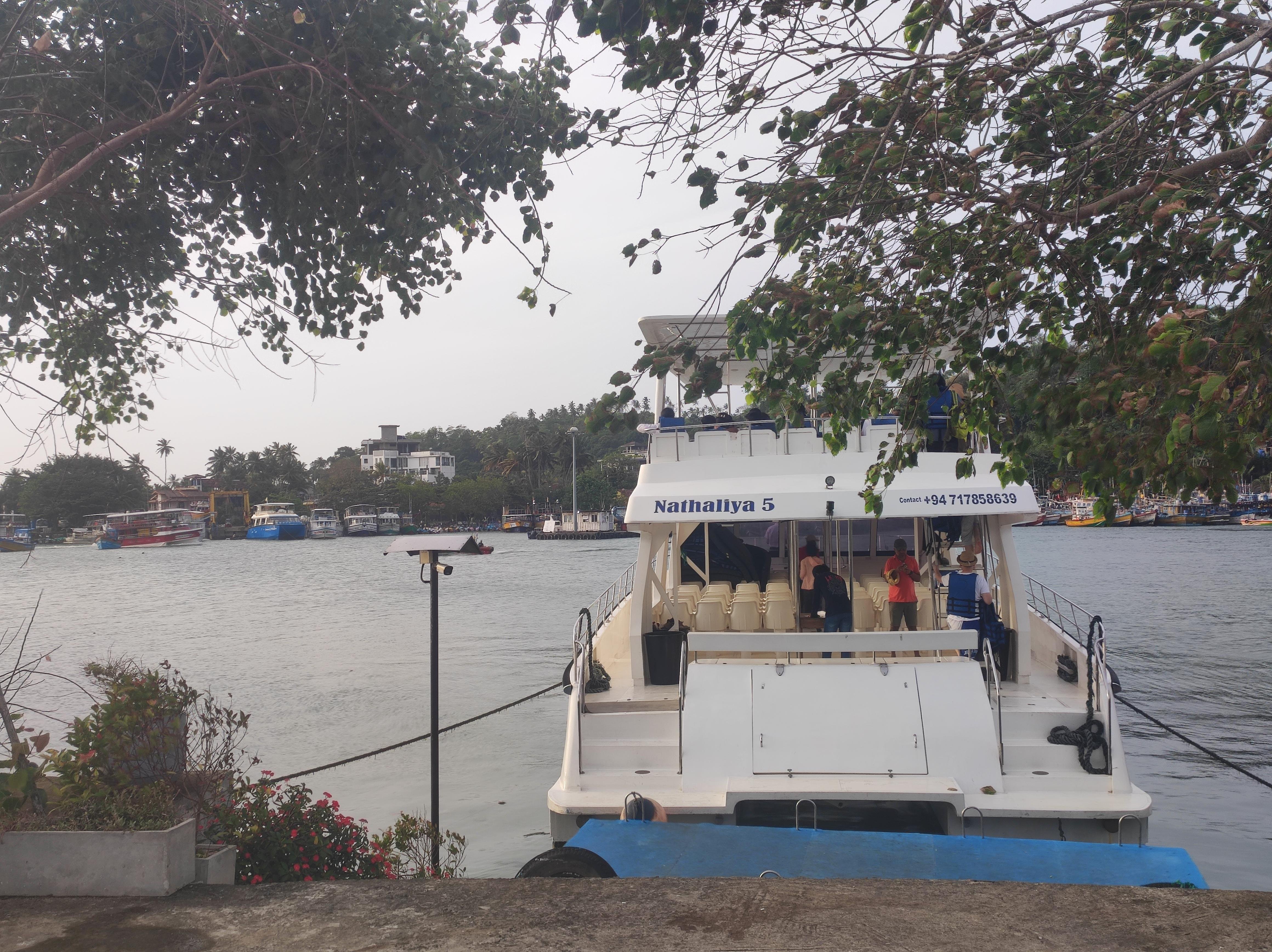 Mirissa Whale & Dolphin Spotting Cruise