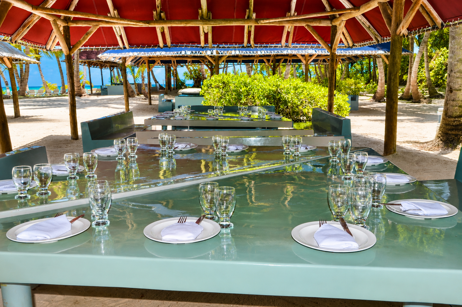 Saona Island Catamaran & Speedboat Expedition