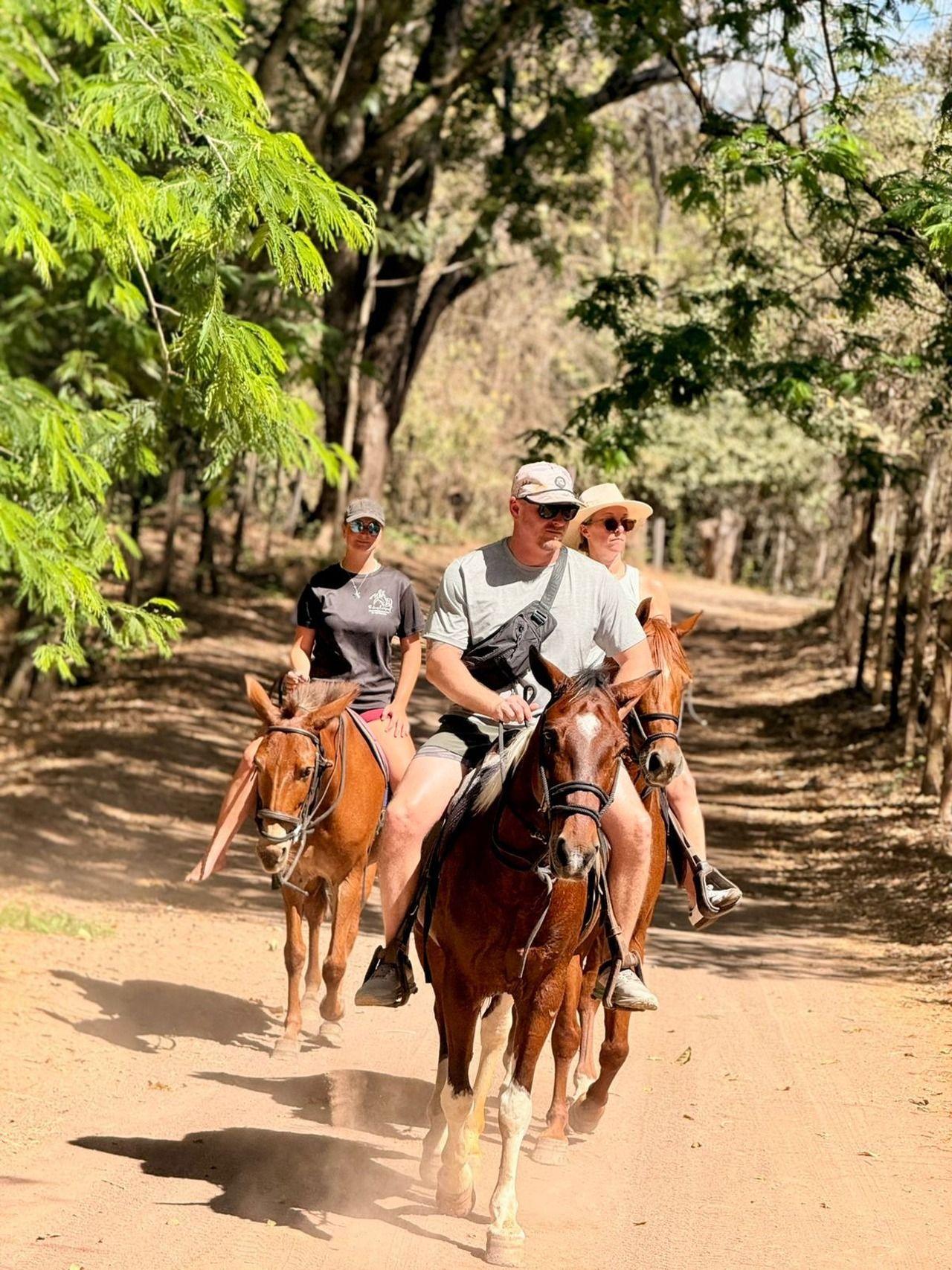 Jungle & Beach Ethical Horseback Adventure