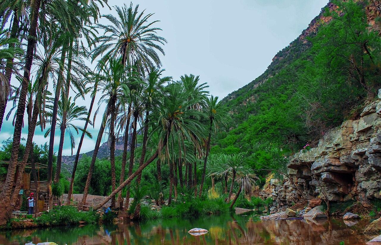 Paradise Valley & Atlas Mountains Expedition from Agadir