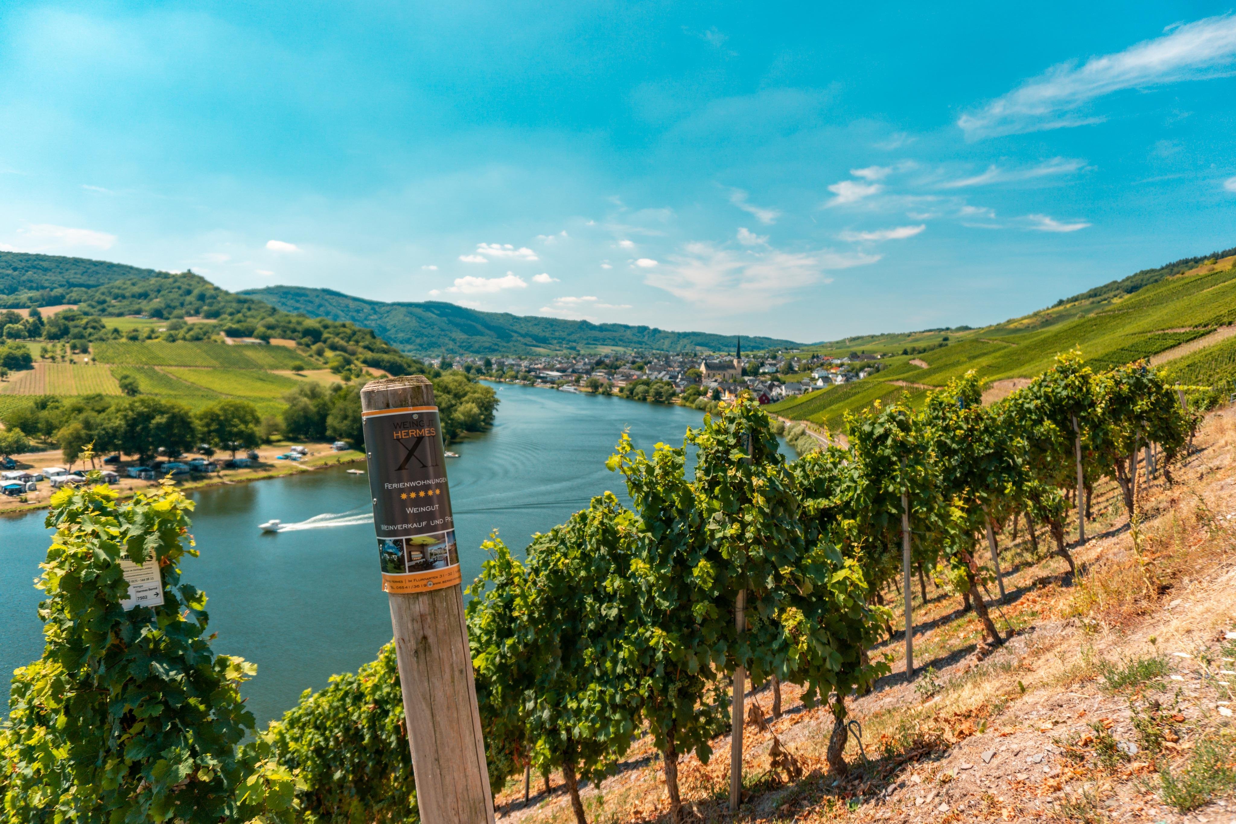 Covered Wagon Wine Tour Through Kröv Vineyards