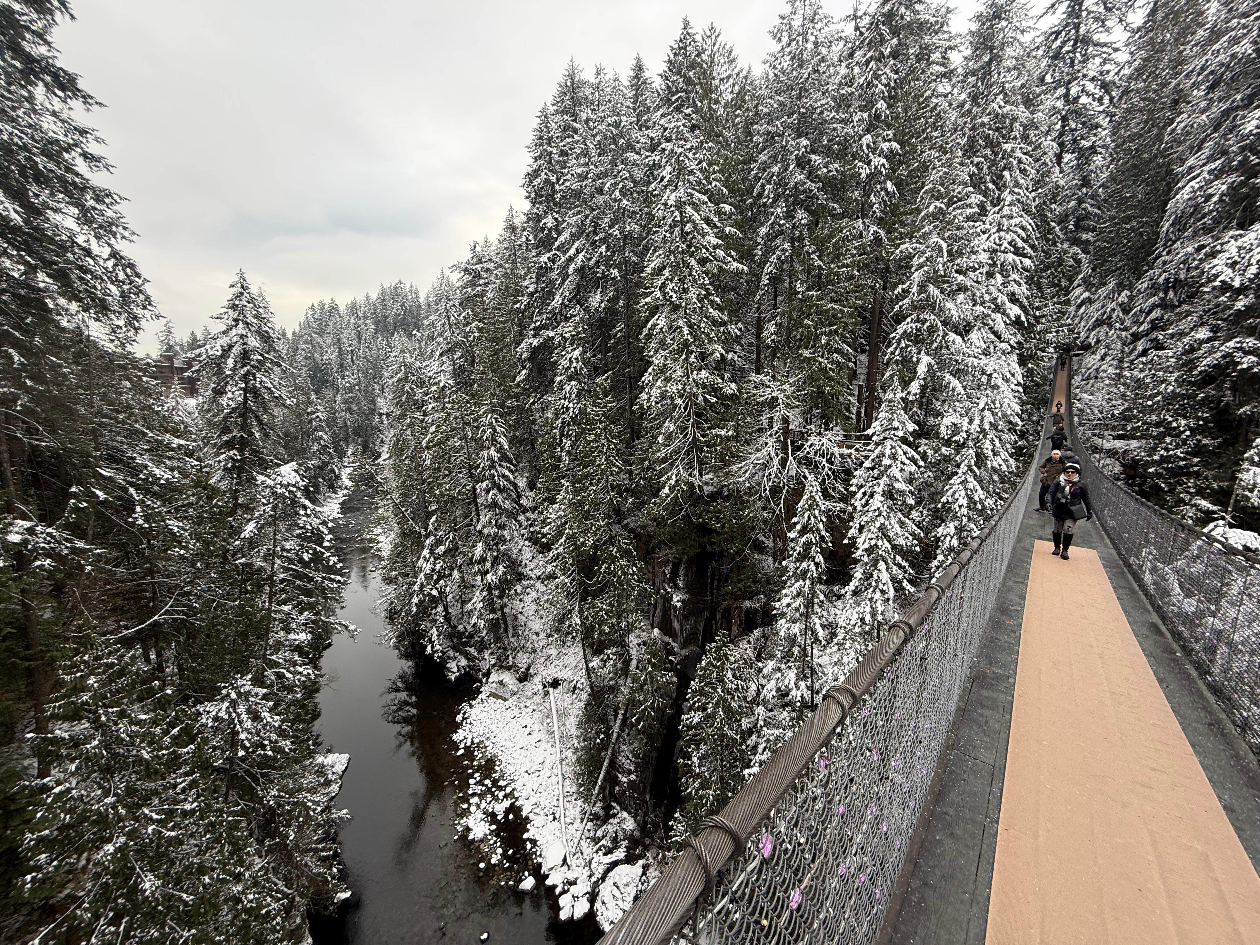 5-in-1 Vancouver Highlights: Grouse Mountain & Capilano Bridge Private Car Tour