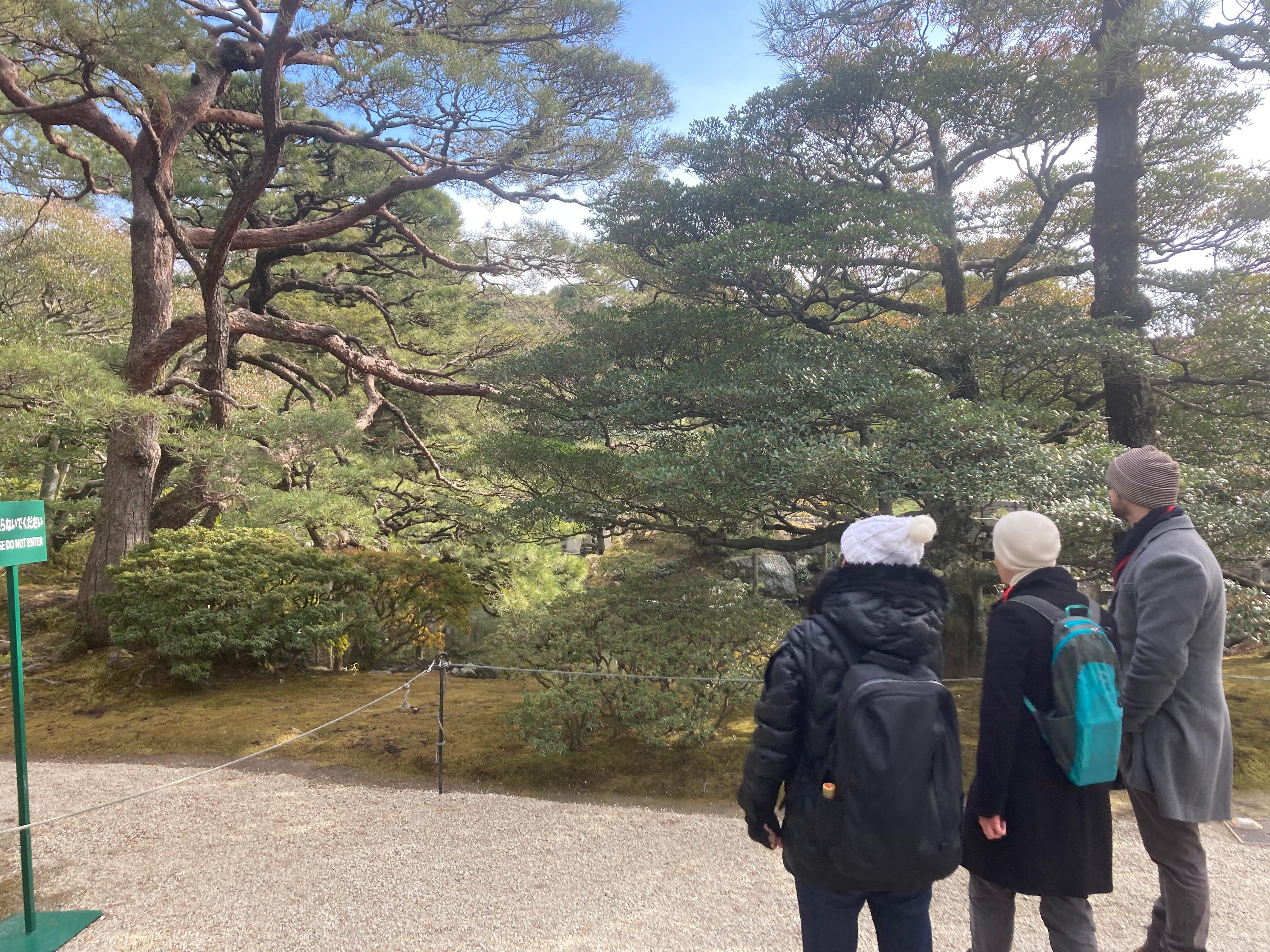 Kyoto: Nijo Castle & Imperial Palace Walking Tour