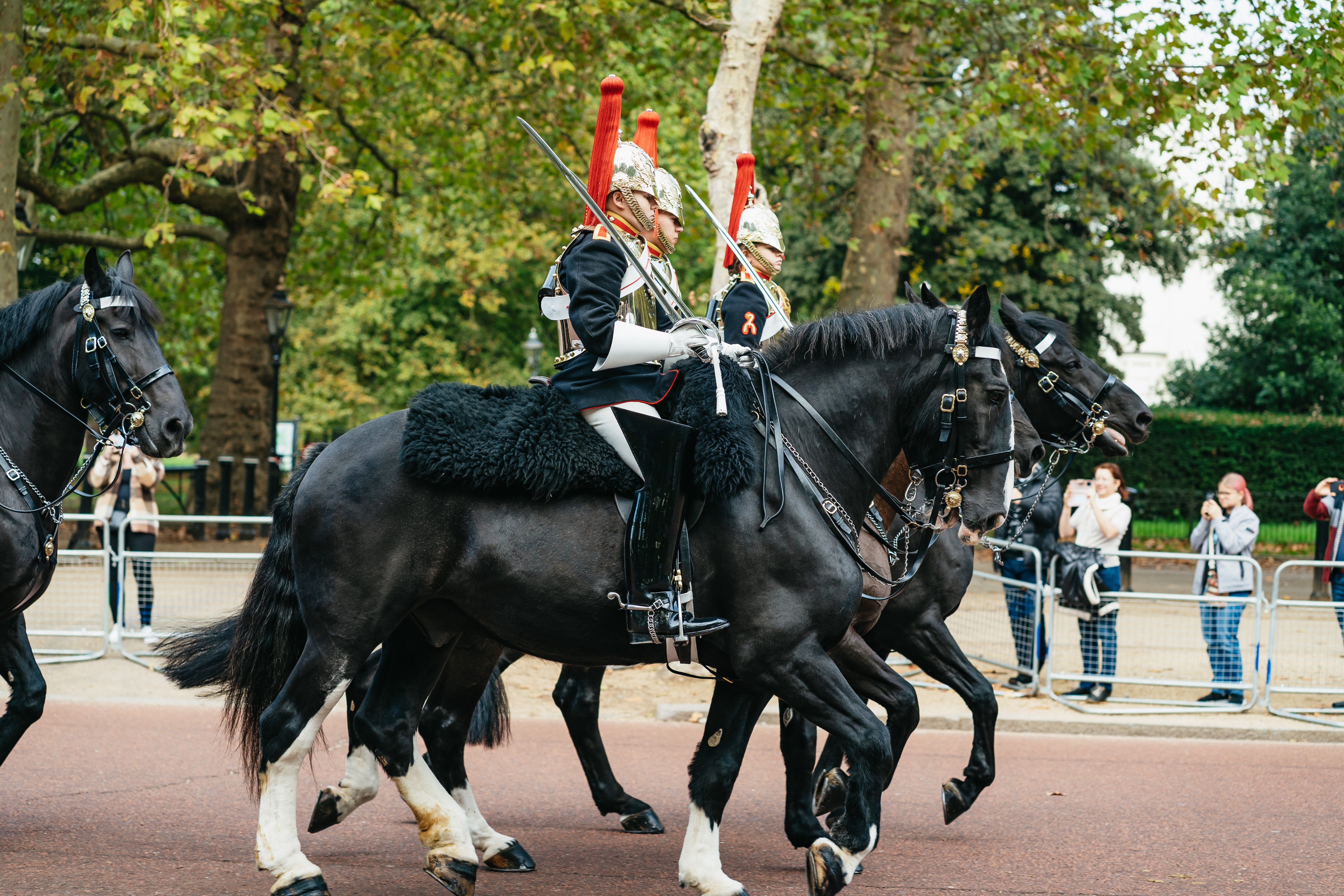 London: Changing of The Guard Tour with Expert Guide - Buckingham Palace tour and royal London scenery