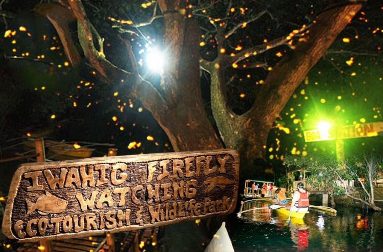 Puerto Princesa Firefly Watching Evening Tour