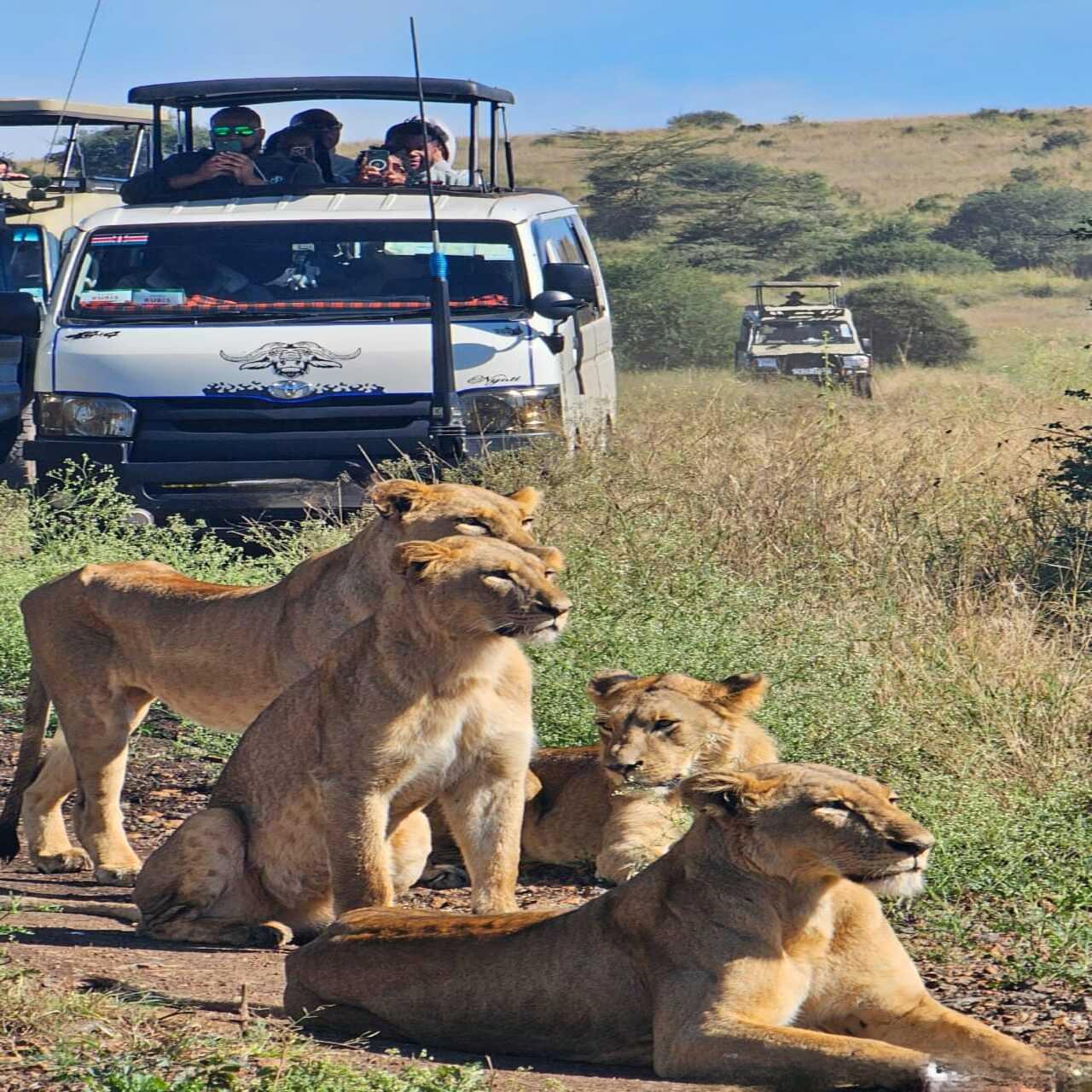 Nairobi National Park Half-Day Safari with Hotel Pickup
