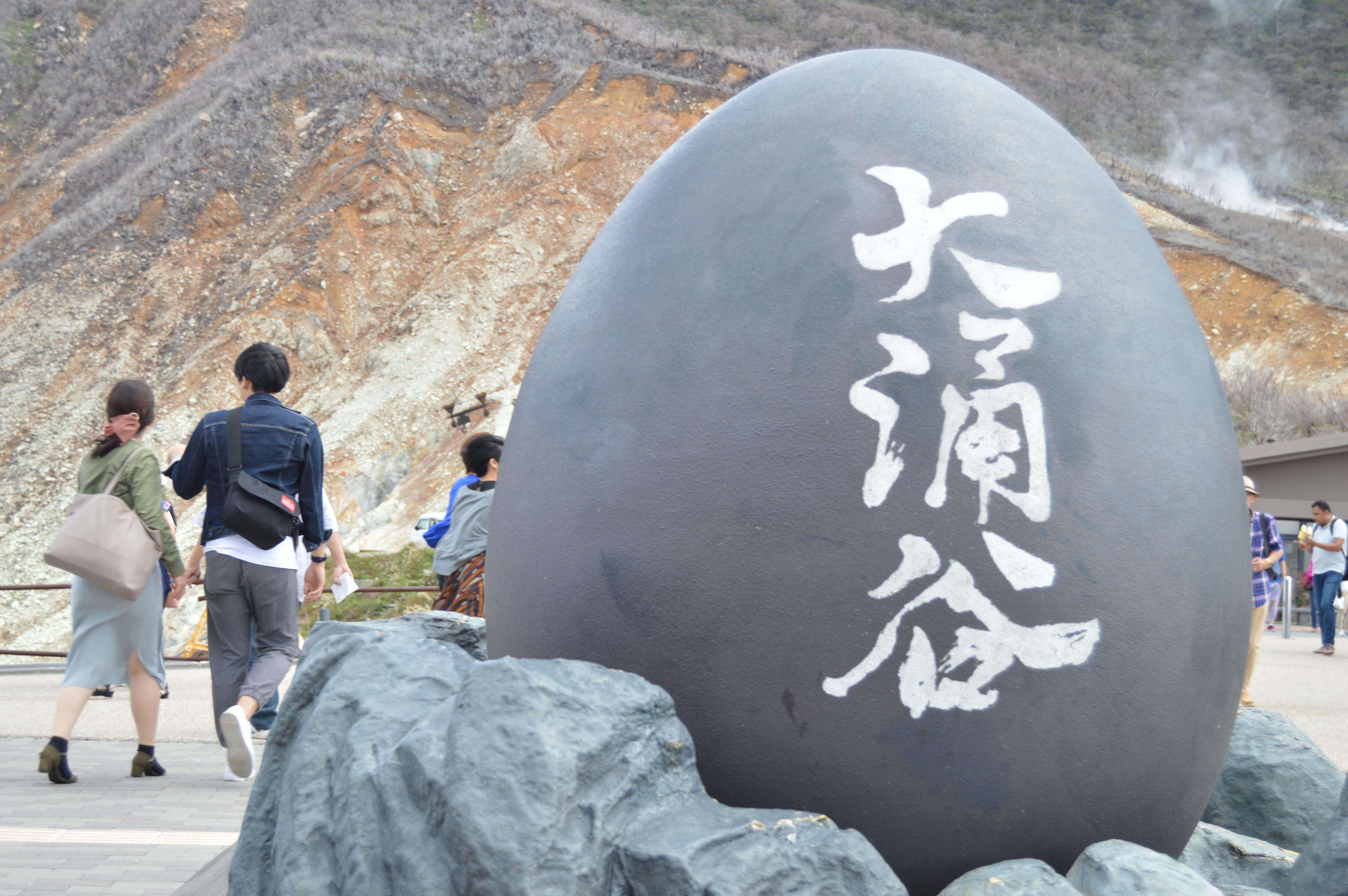 Tokyo Day Trip: Hakone Ropeway, Owakudani & Enoshima Sea-Fuji View