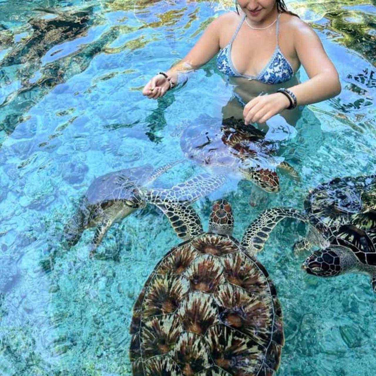 Zanzibar Full-Day: Jozani Forest, Turtle Swim & The Rock Restaurant