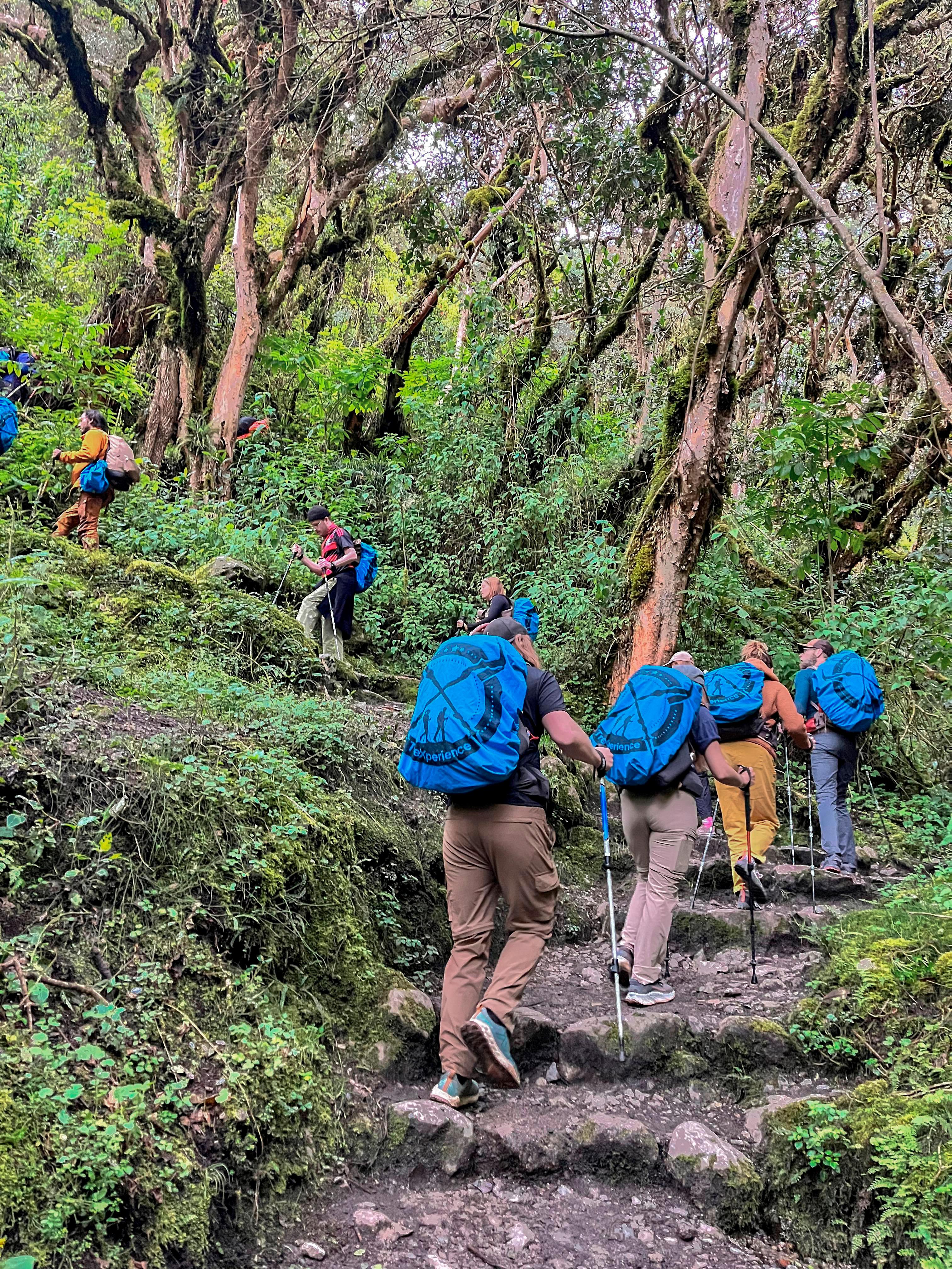 4-tägige Inka-Pfad-Wanderung nach Machu Picchu mit Panoramazug-Rückfahrt