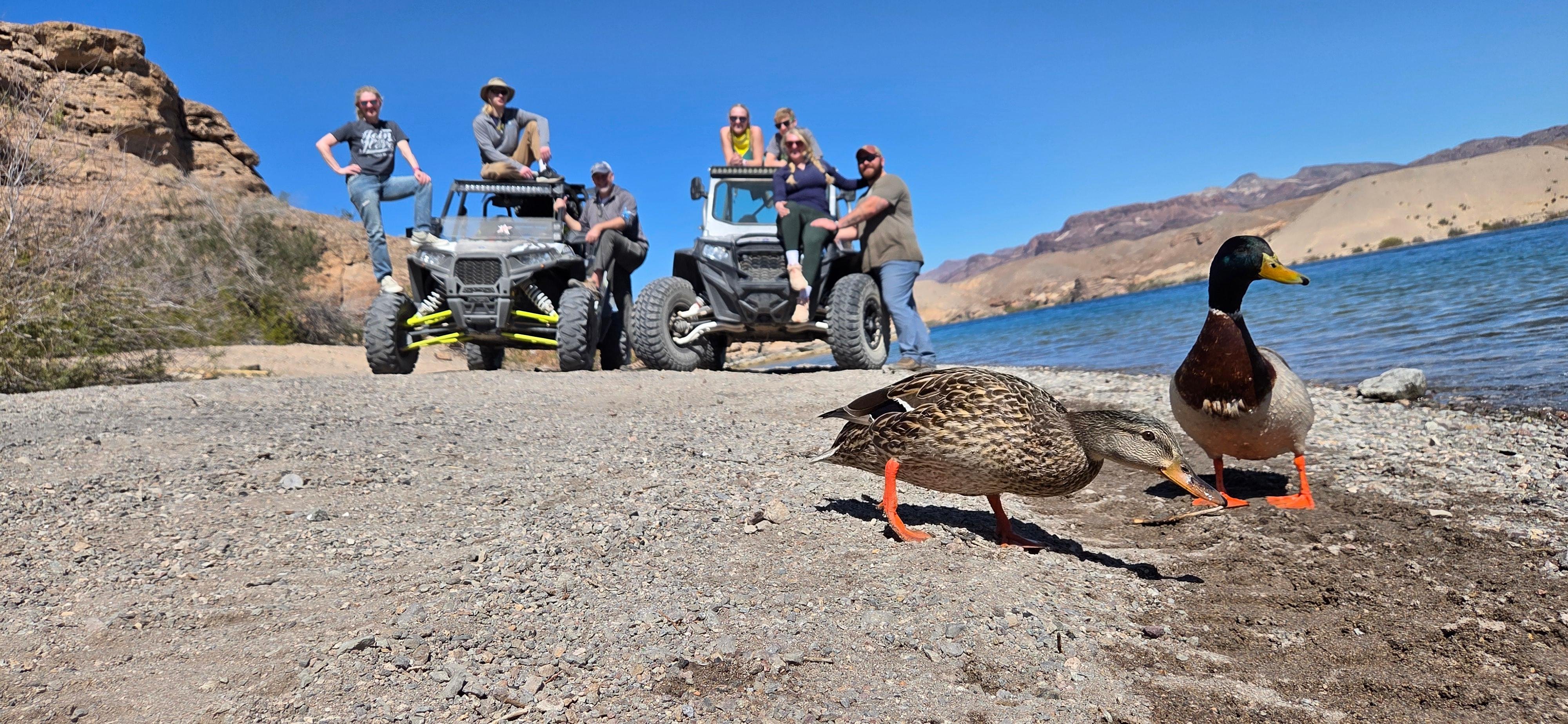Las Vegas: Colorado River Off-Road RZR Adventure