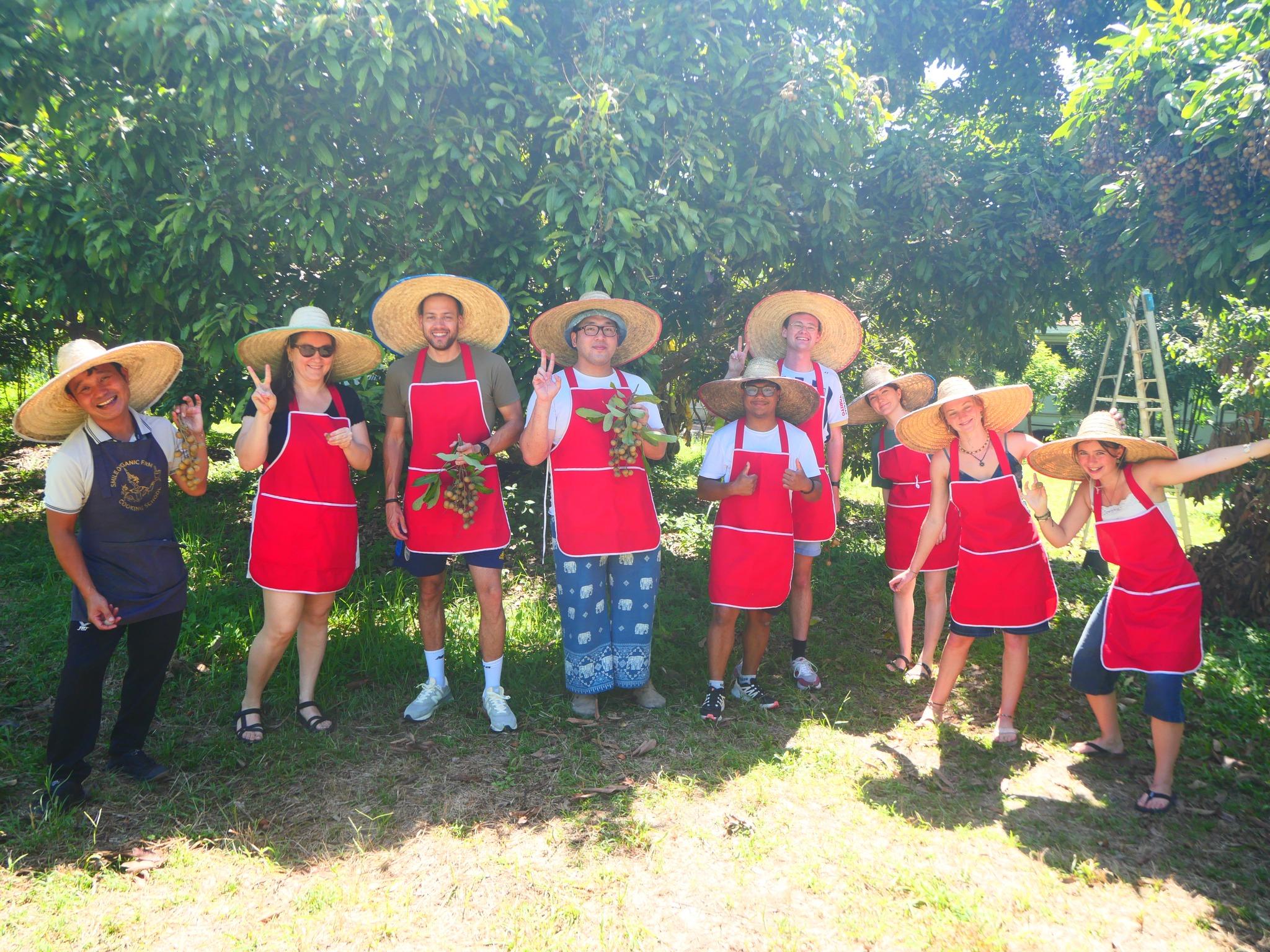 Half-Day Thai Cooking Class on a Local Farm Near Chiang Mai