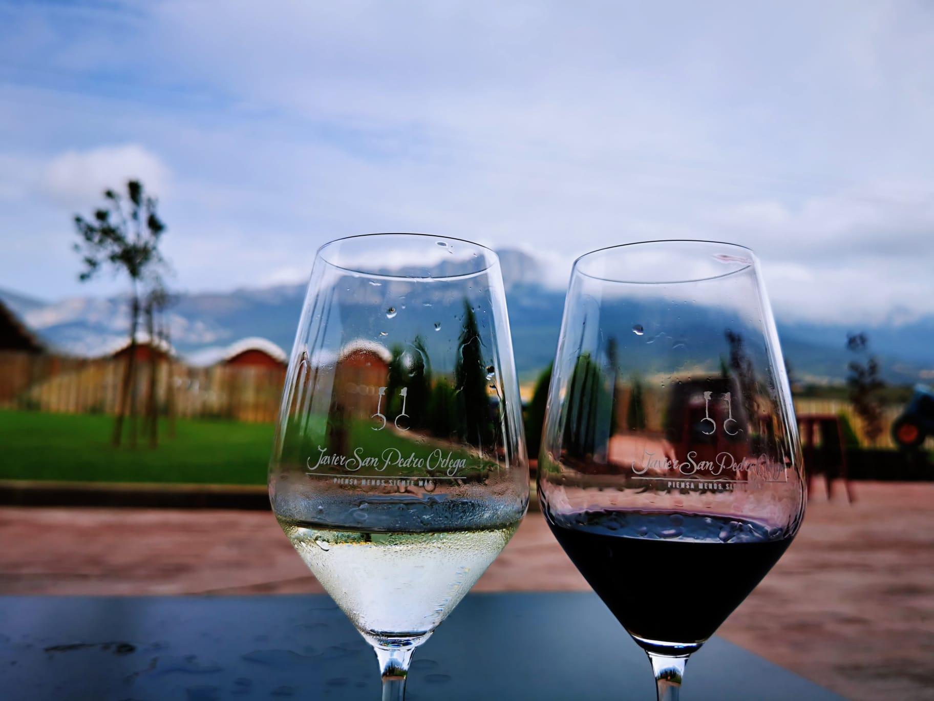 Rioja Wine Discovery with Local Expert