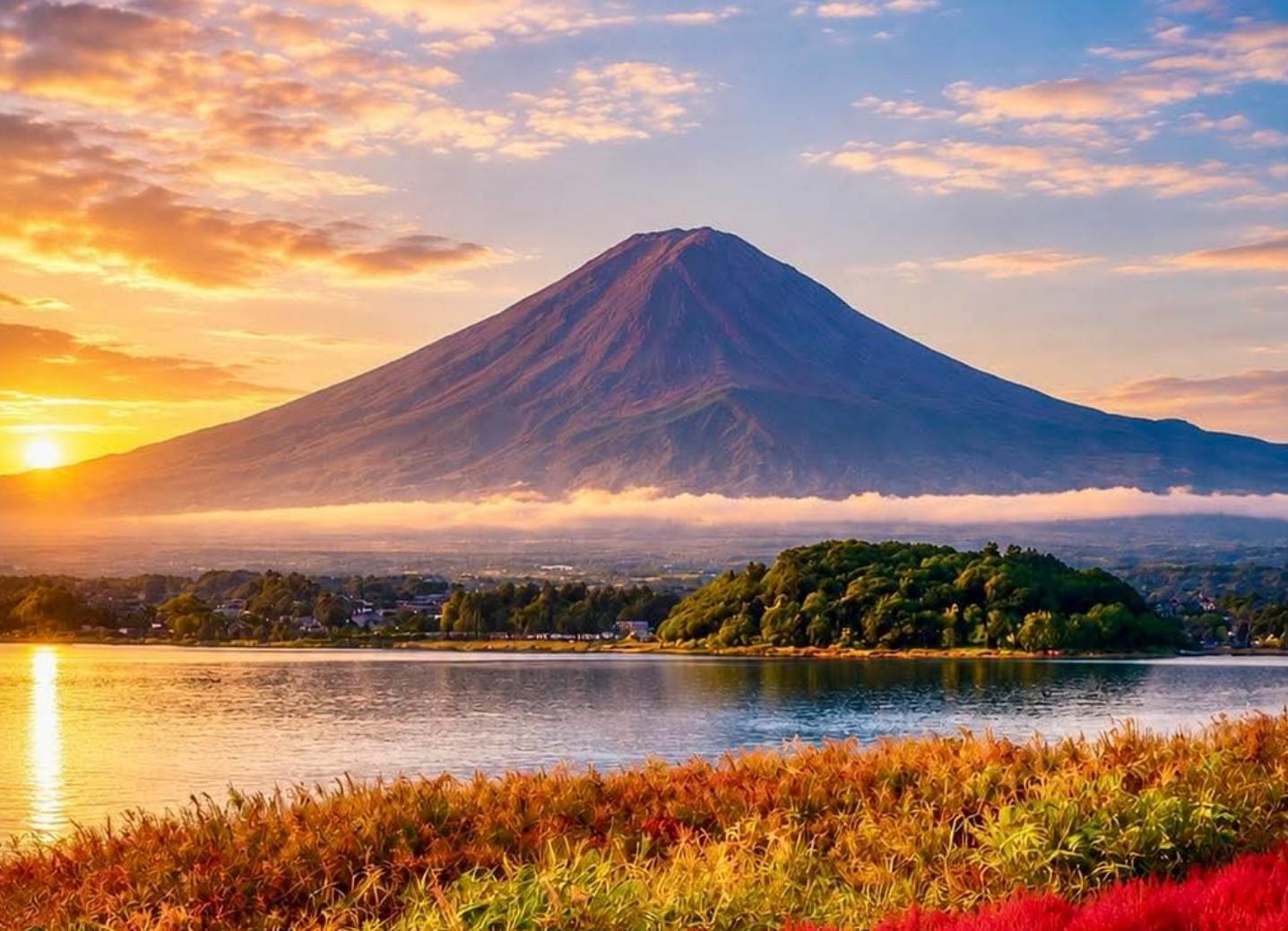 Custom Mt. Fuji & Hakone Private Full-Day Tour from Tokyo