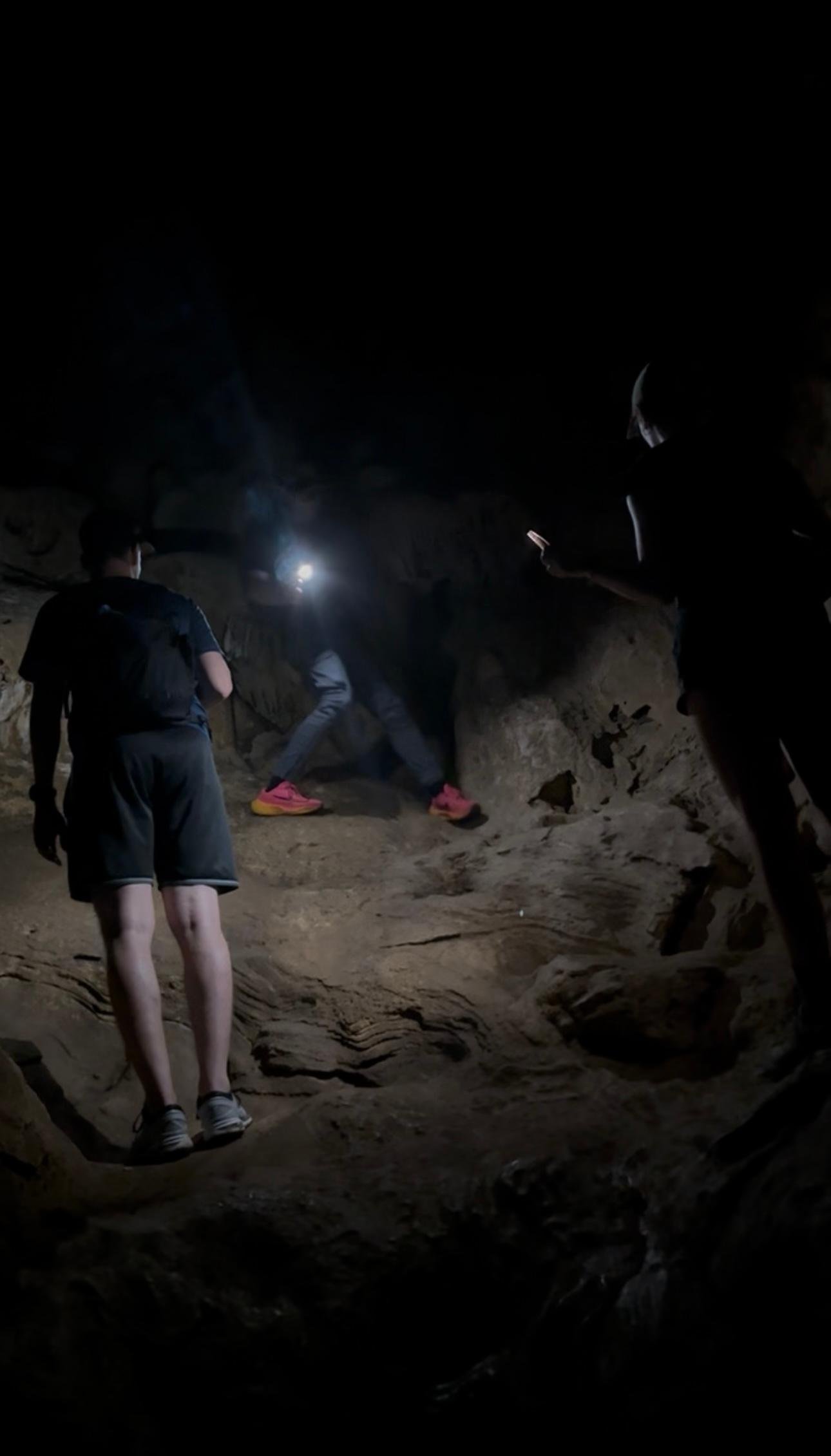 Cuc Phuong National Park Day Trek & Bear Sanctuary from Ninh Binh