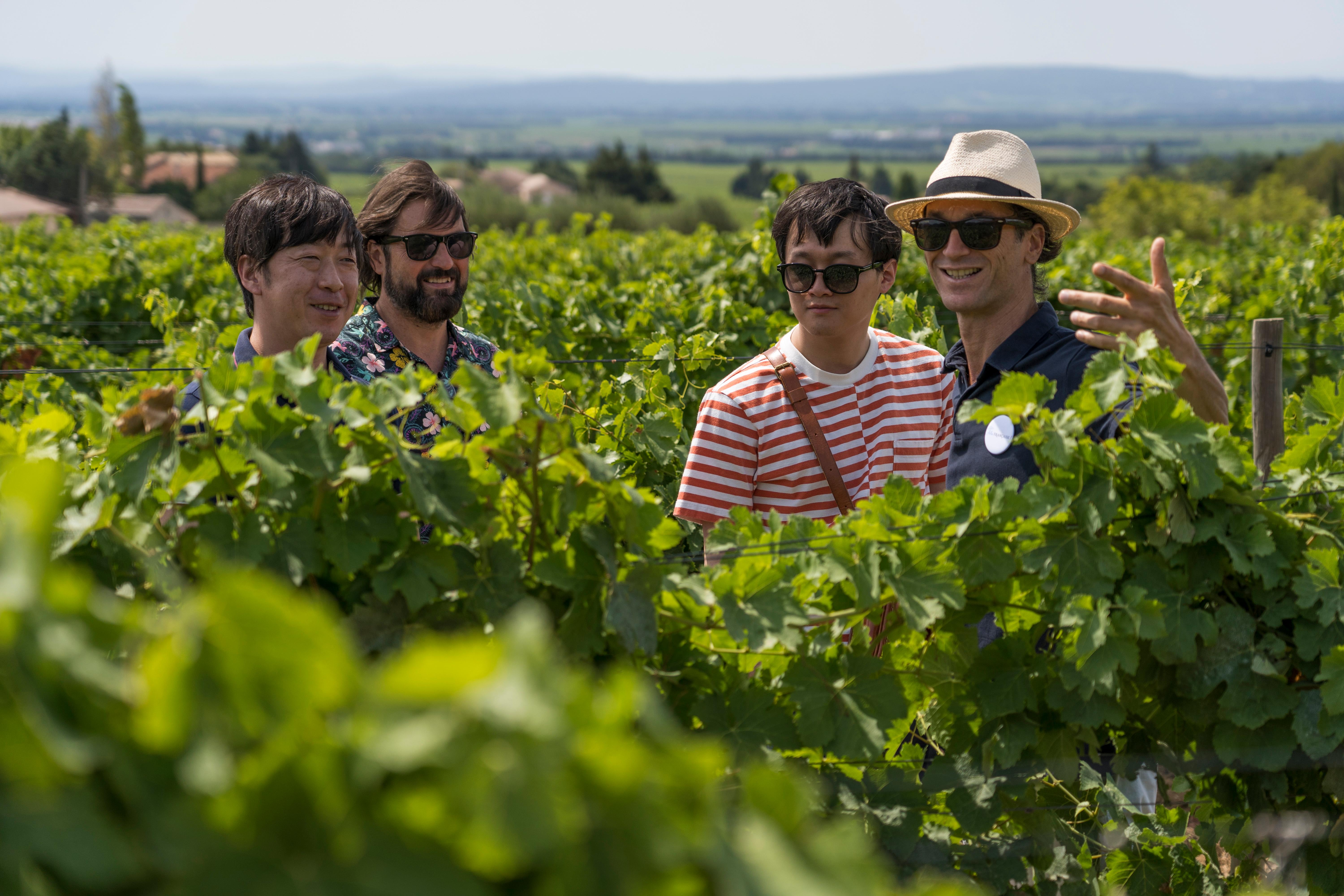 Glasses of red Chateauneuf du Pape wine poured during a cellar tasting on a tour from Avignon