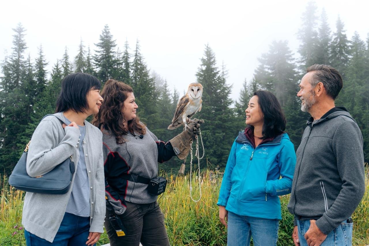 Capilano Suspension Bridge & Grouse Mountain Full-Day Tour