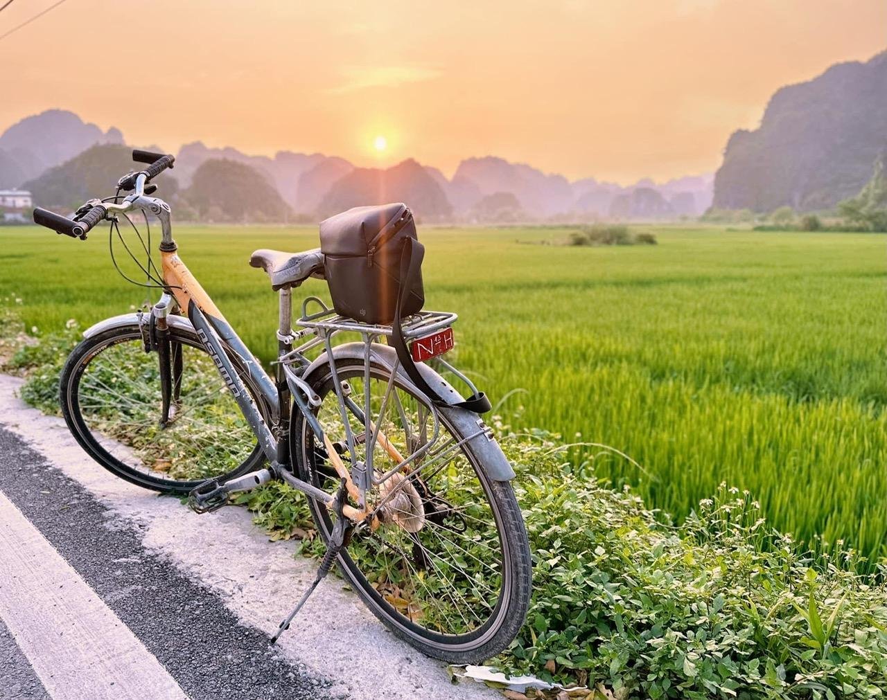 Hanoi to Ninh Binh: Hoa Lu, Trang An & Mua Cave Day Tour