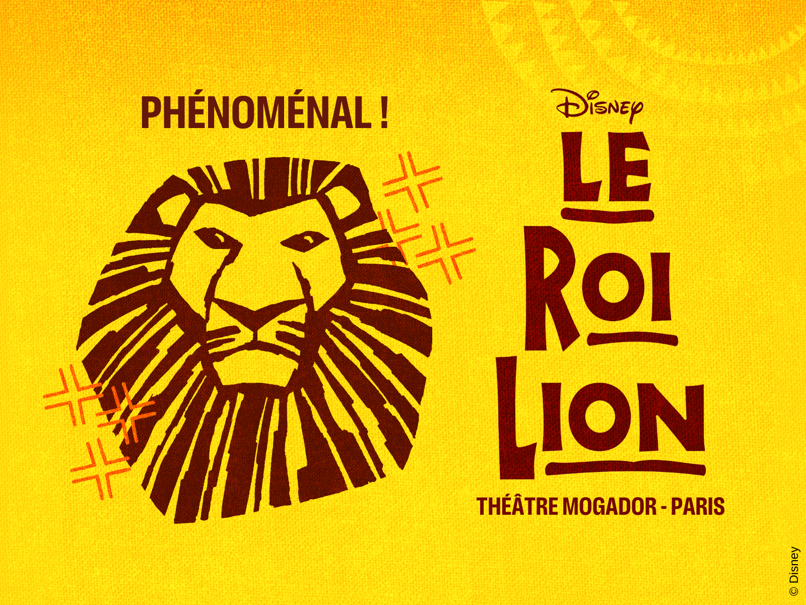 The Lion King Musical at Théâtre Mogador