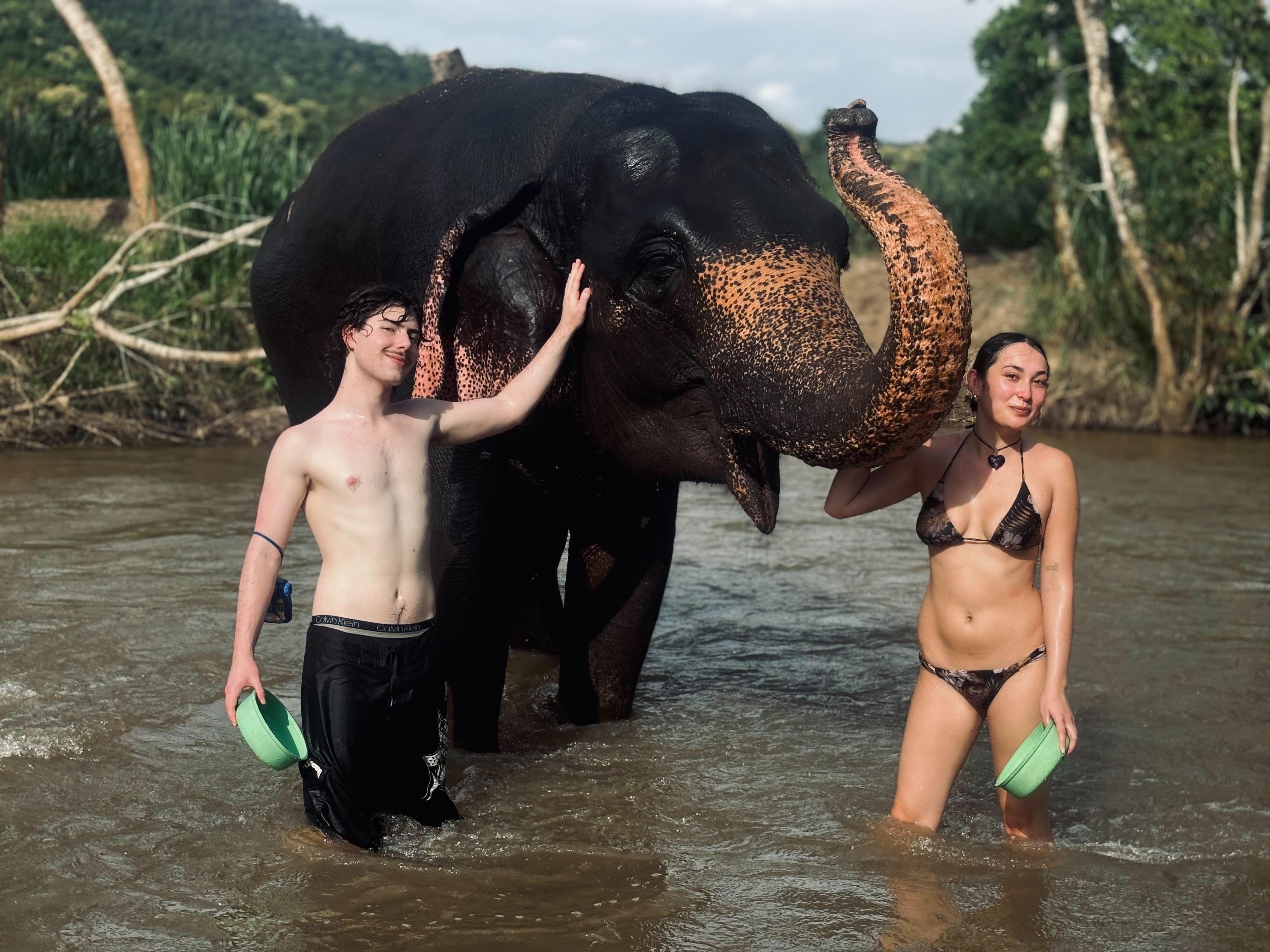 Elephant Sanctuary and Cooking Class — image 26