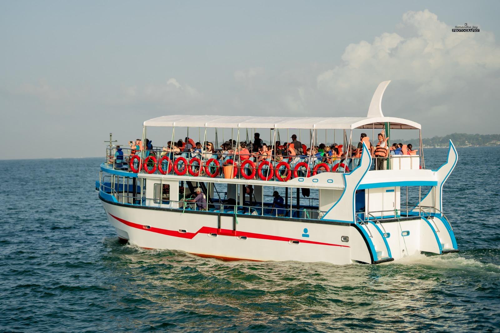 Mirissa Whale Watching Experience with Breakfast