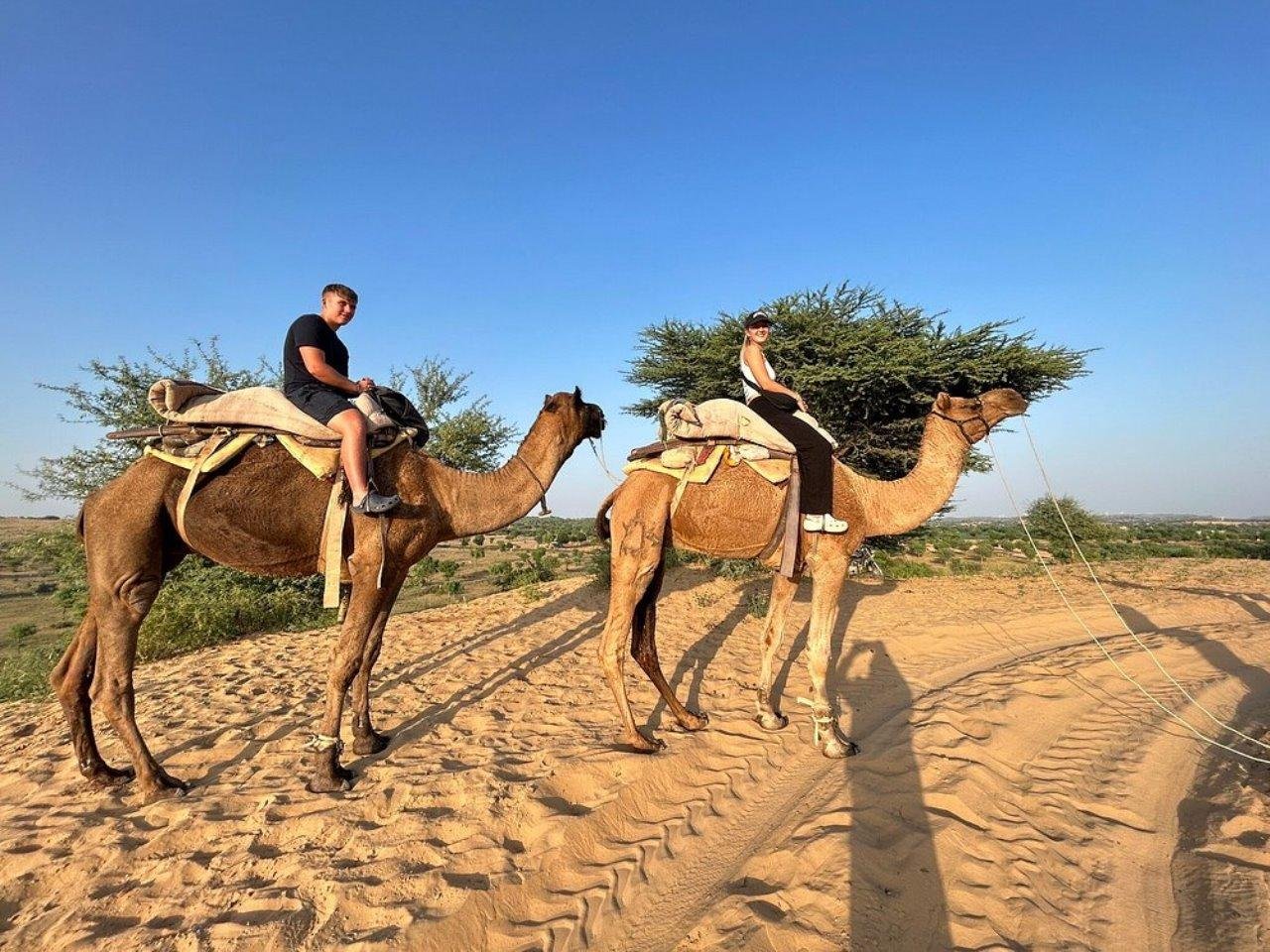 Thar Desert Adventure with Jeep Safari, Camel Ride & Cultural Evening