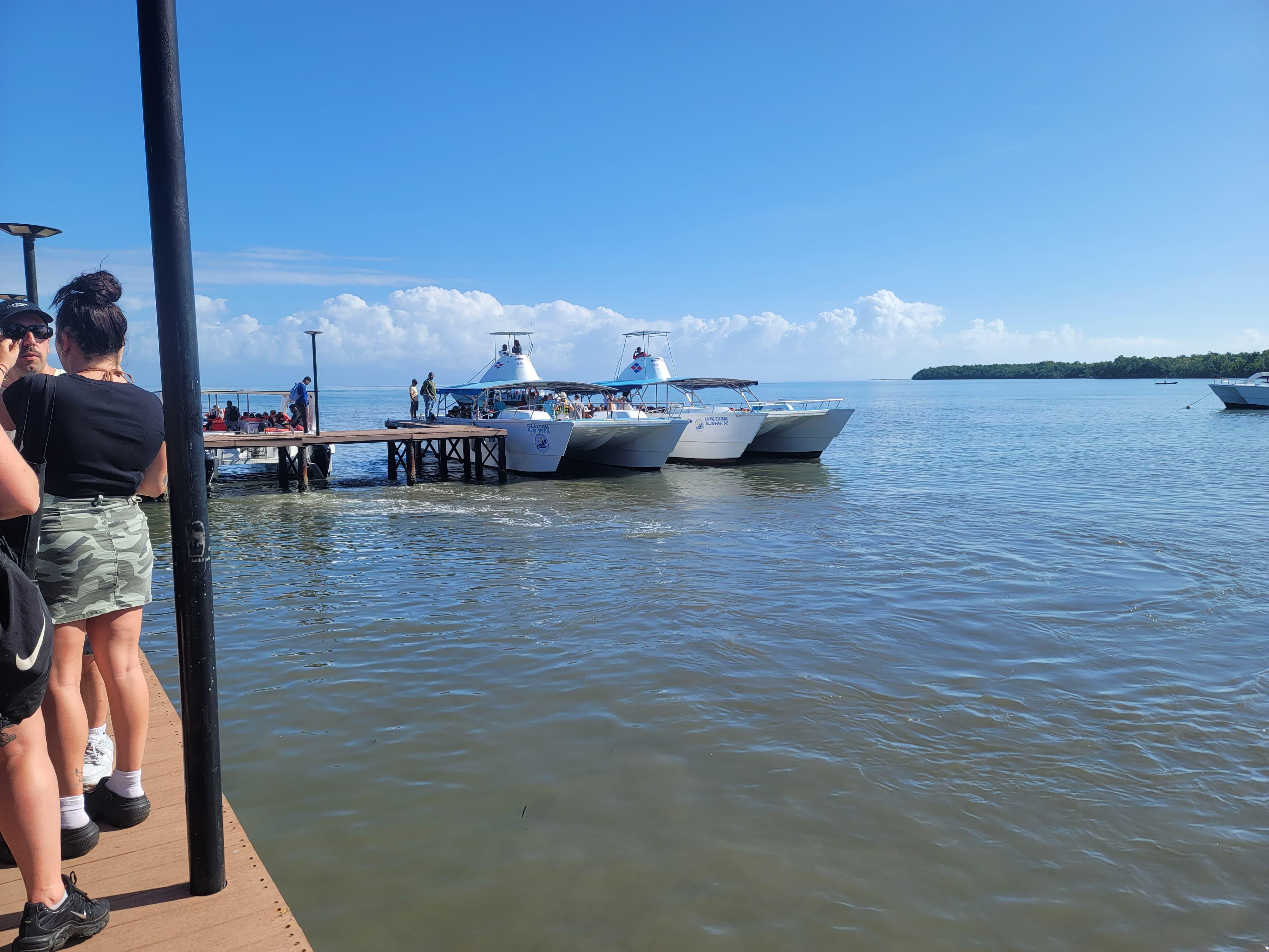 Samaná Bay & El Limón Waterfall Full-Day Adventure