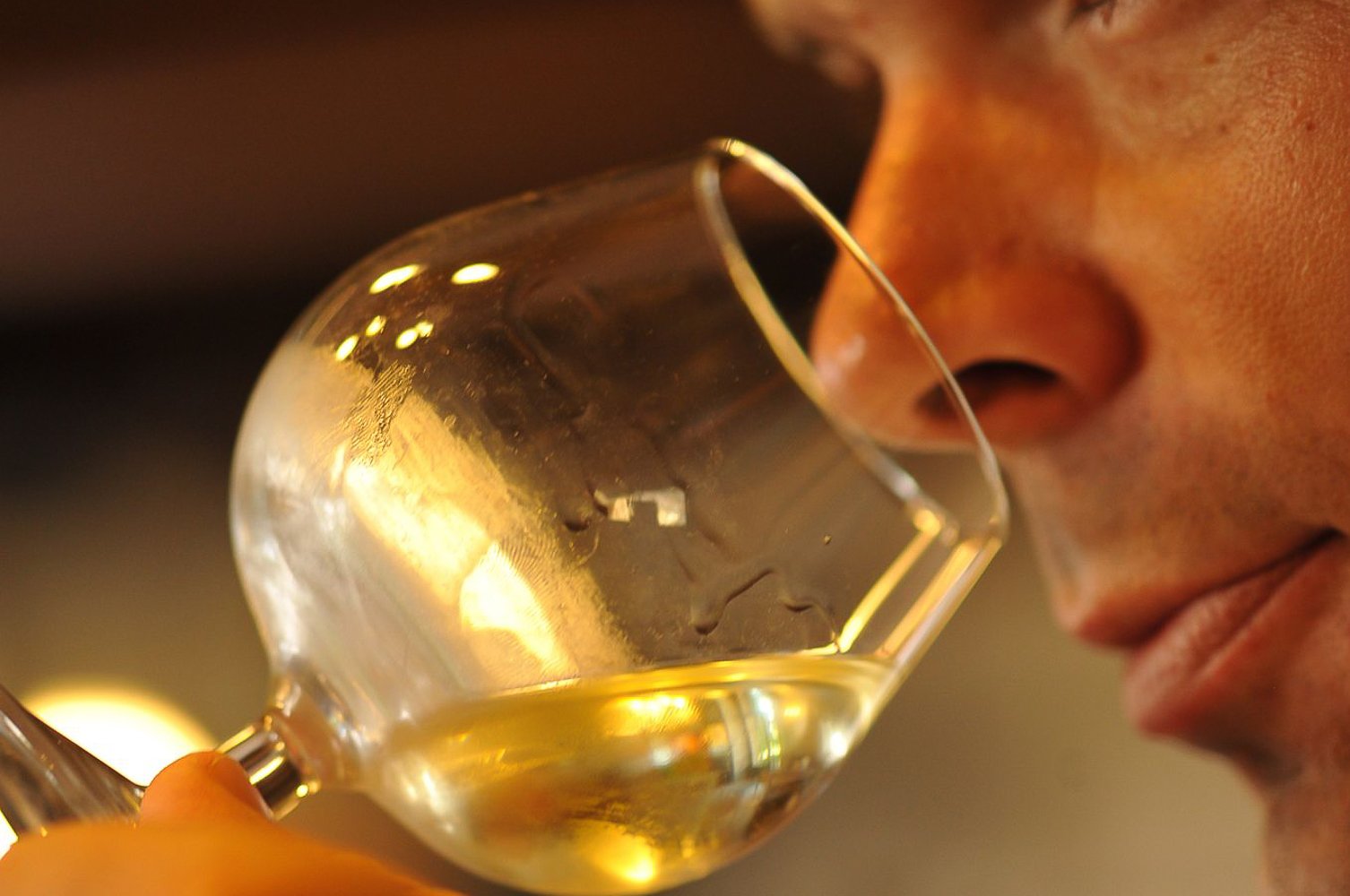 Half-Day Burgundy Wine Discovery from Dijon