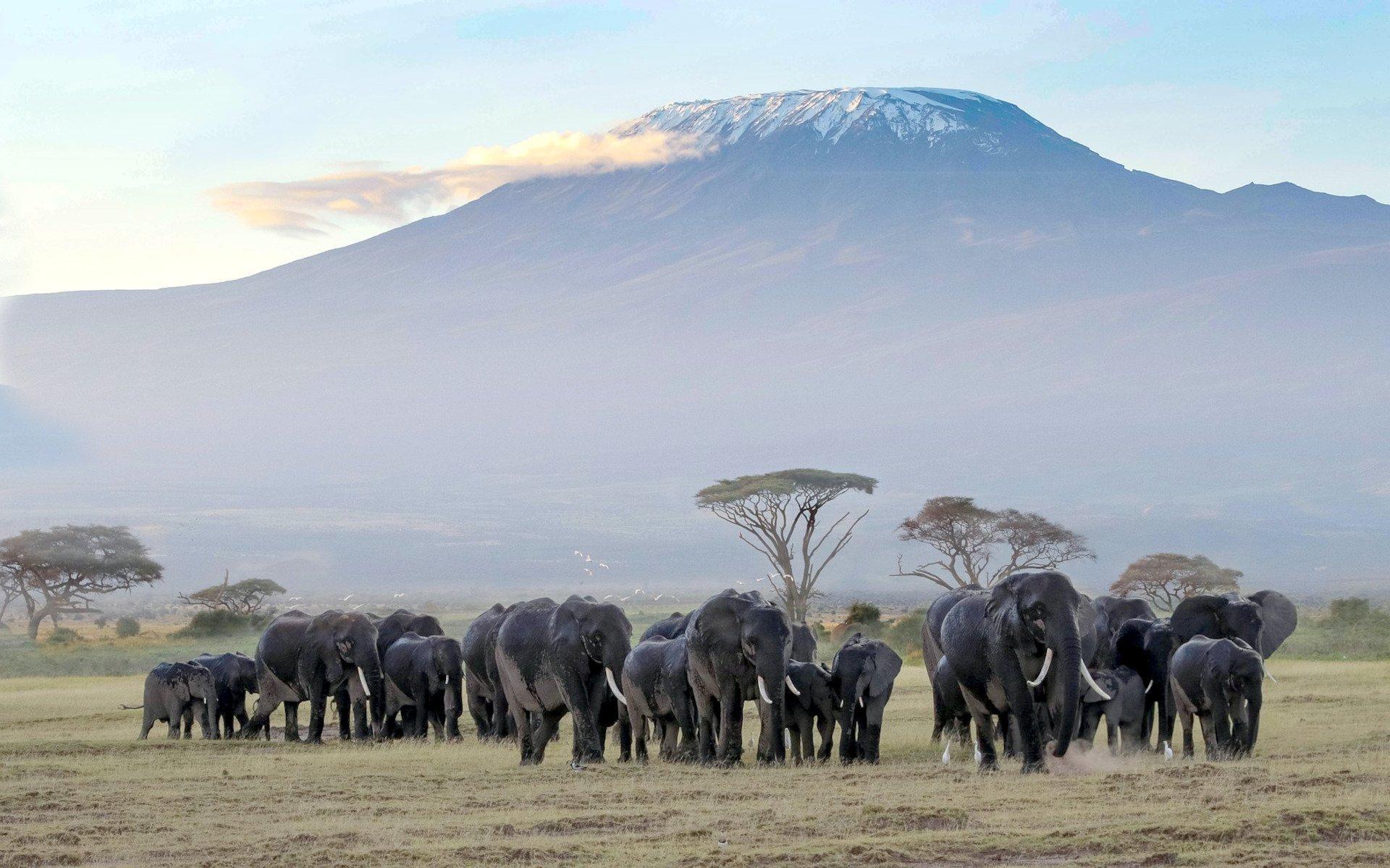 5-Day Private Kenya Safari: Maasai Mara, Nakuru & Naivasha