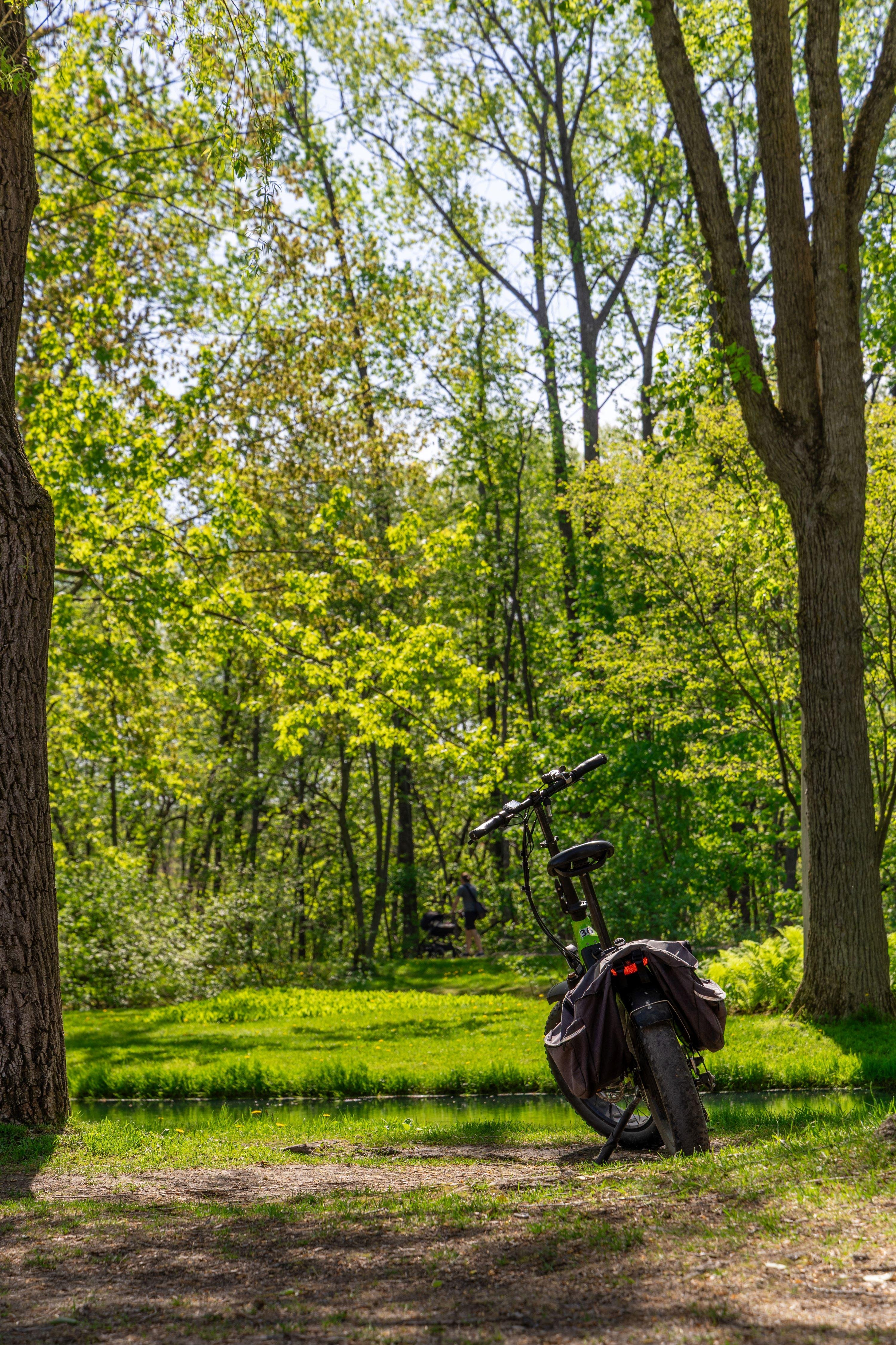 Quebec City: Montmorency Falls & Microbrewery eBike Adventure