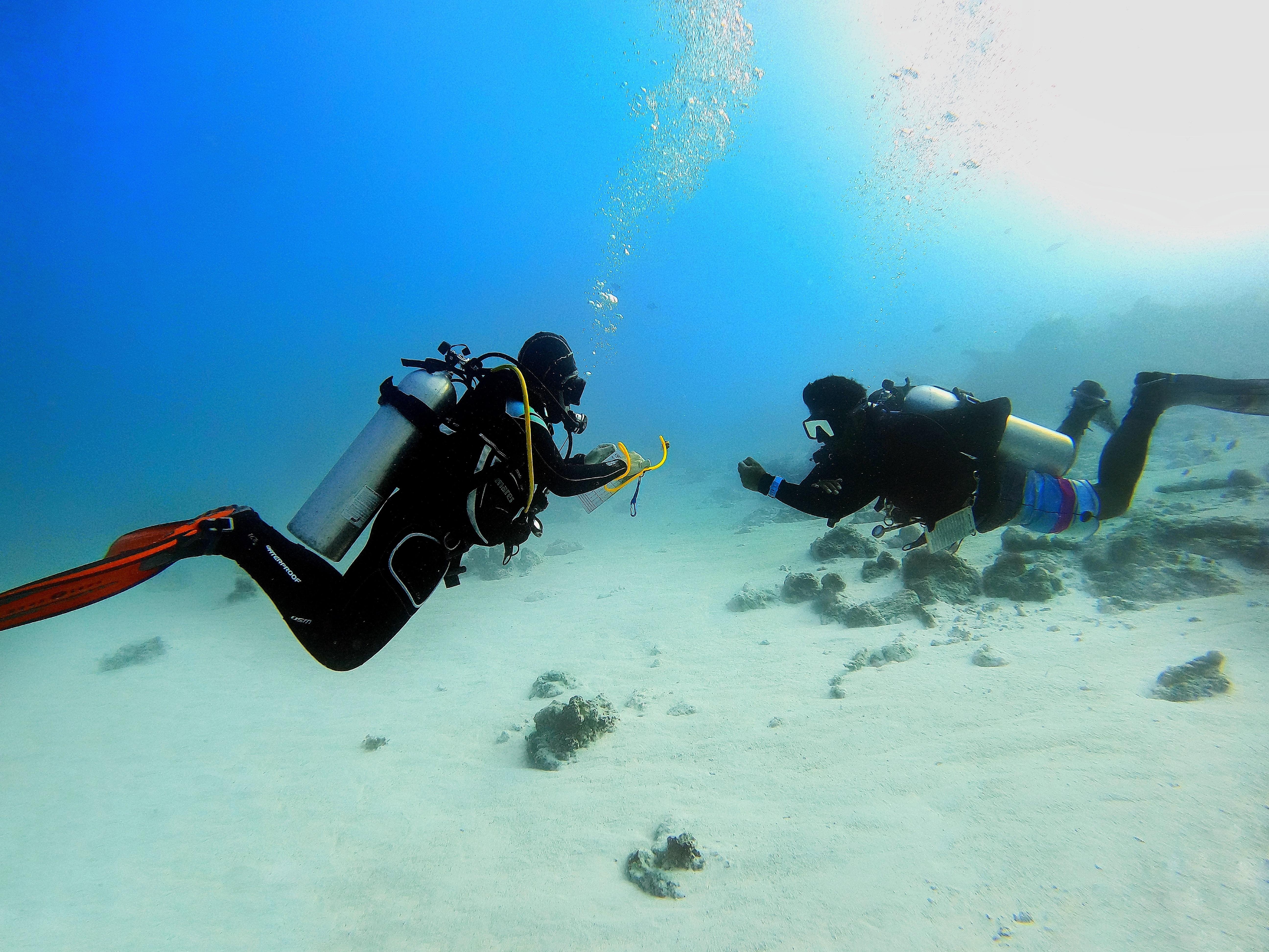 Discover Scuba Diving in Porto Cesareo