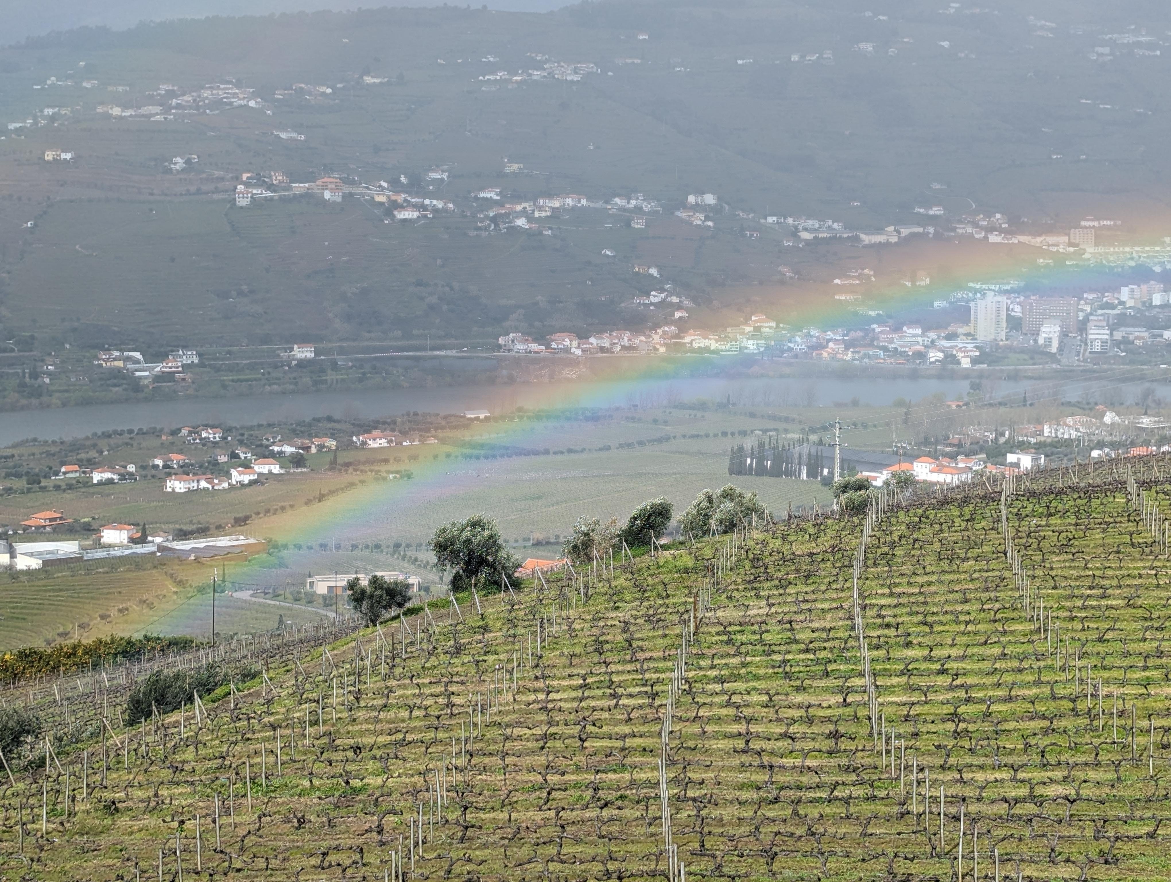 Porto: Douro Valley & Vinho Verde Day Tour with Tastings, Lunch & Boat Cruise