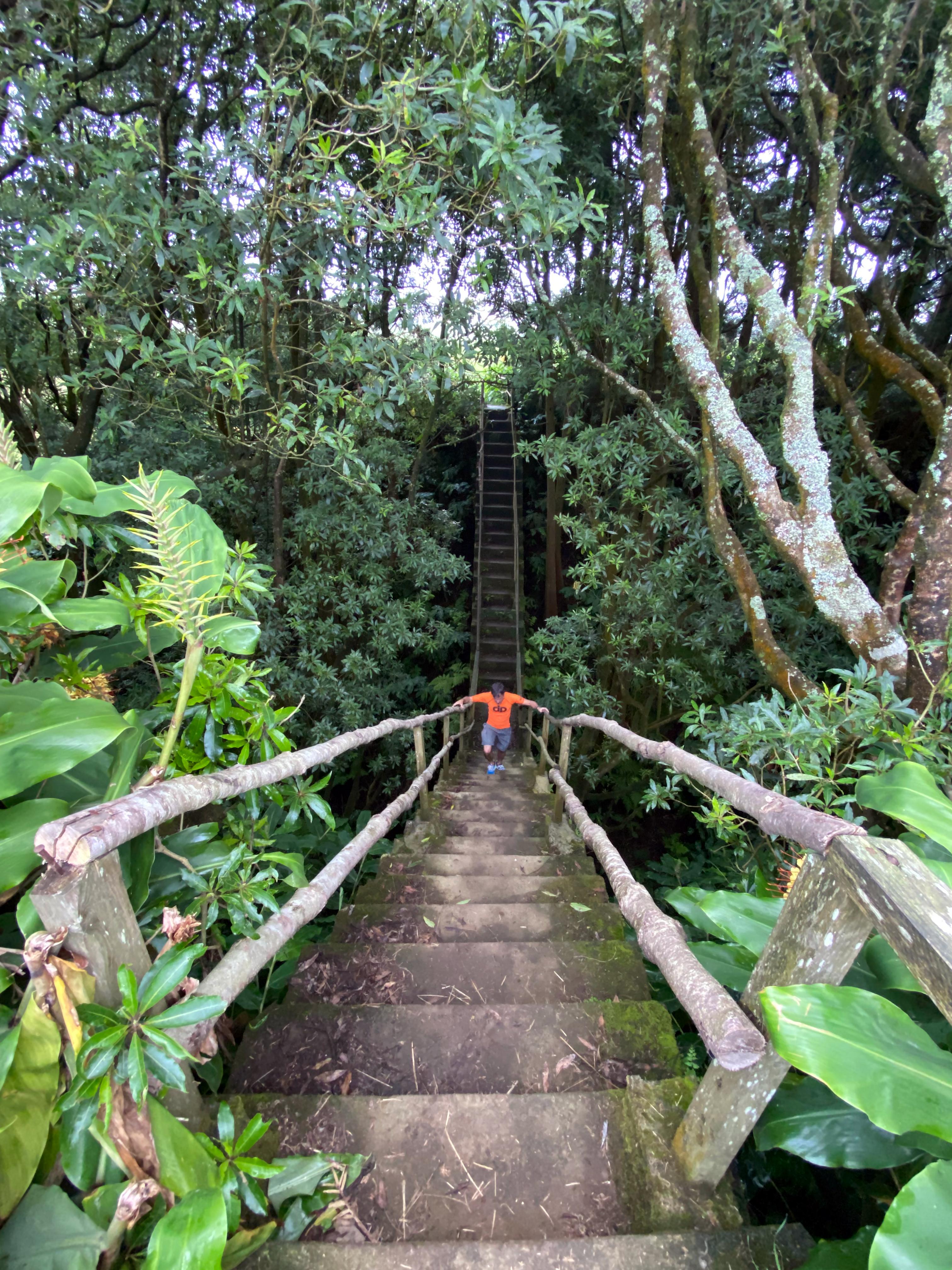 Azores Guided Trek: Janela do Inferno & Caldeira Velha Thermal Springs
