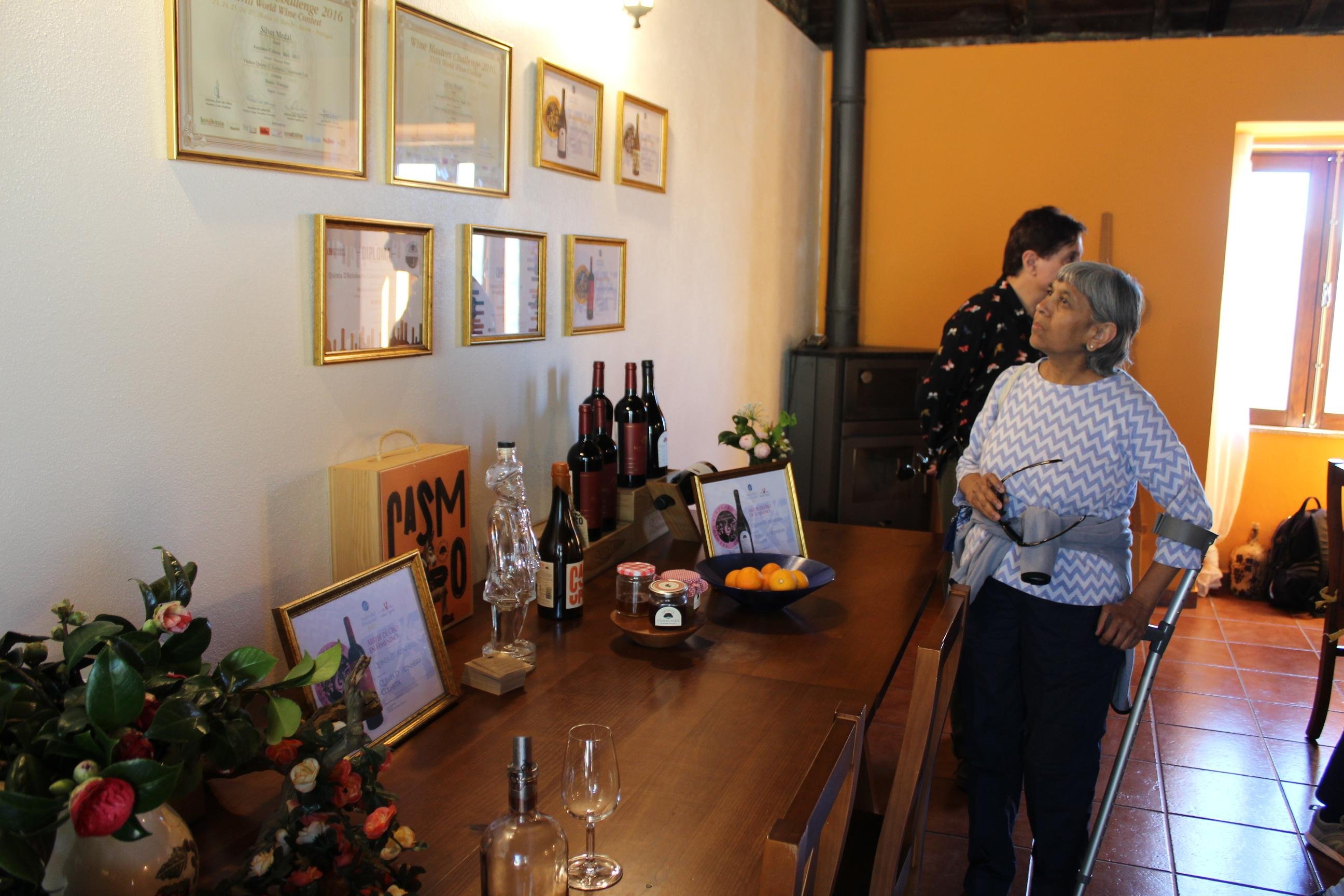 Douro Valley Wine & Cruise Day Trip from Porto